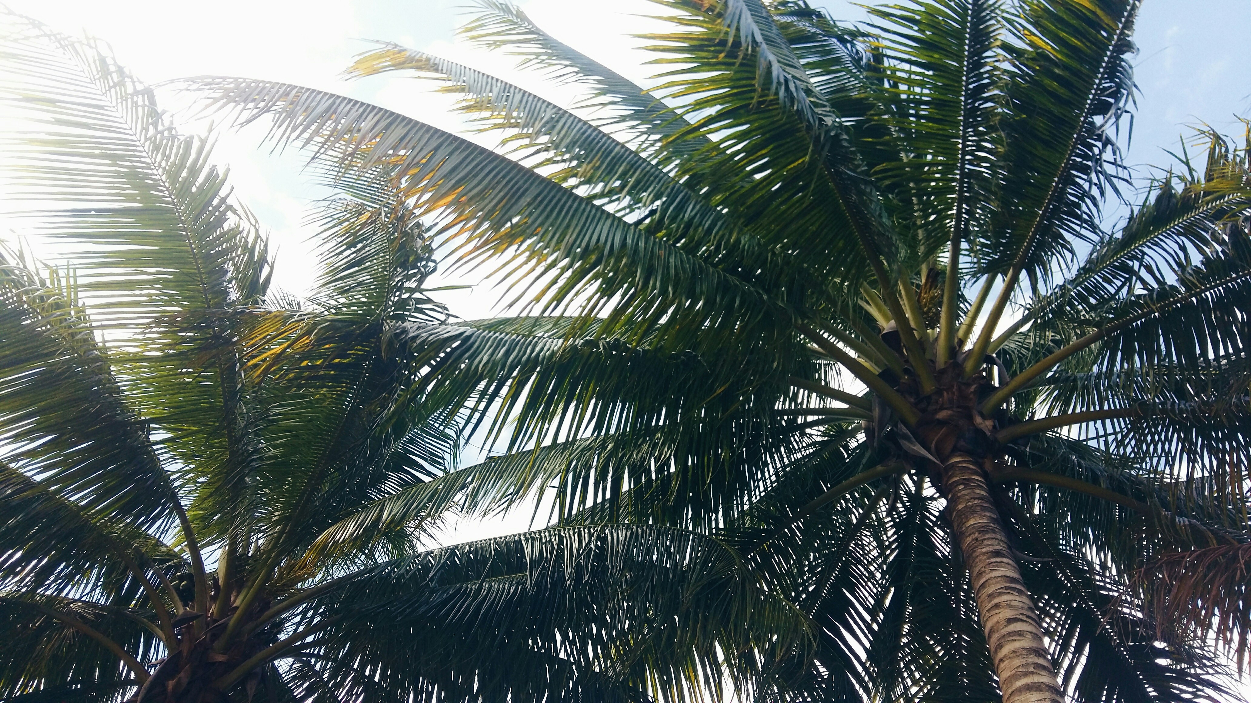 Free Unsplash photo from analuisa gamboa