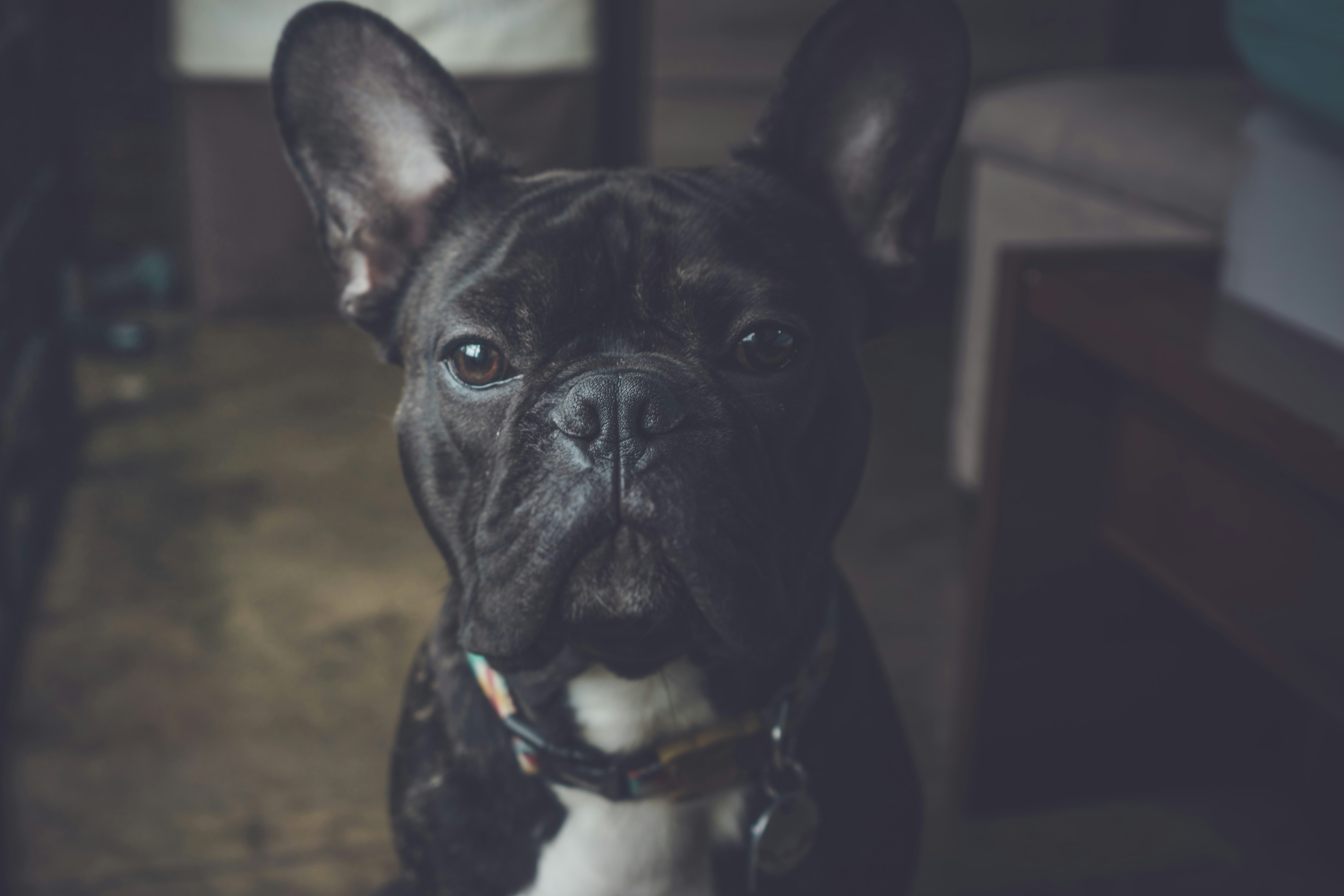 Free Unsplash photo from Juan Lizarraga