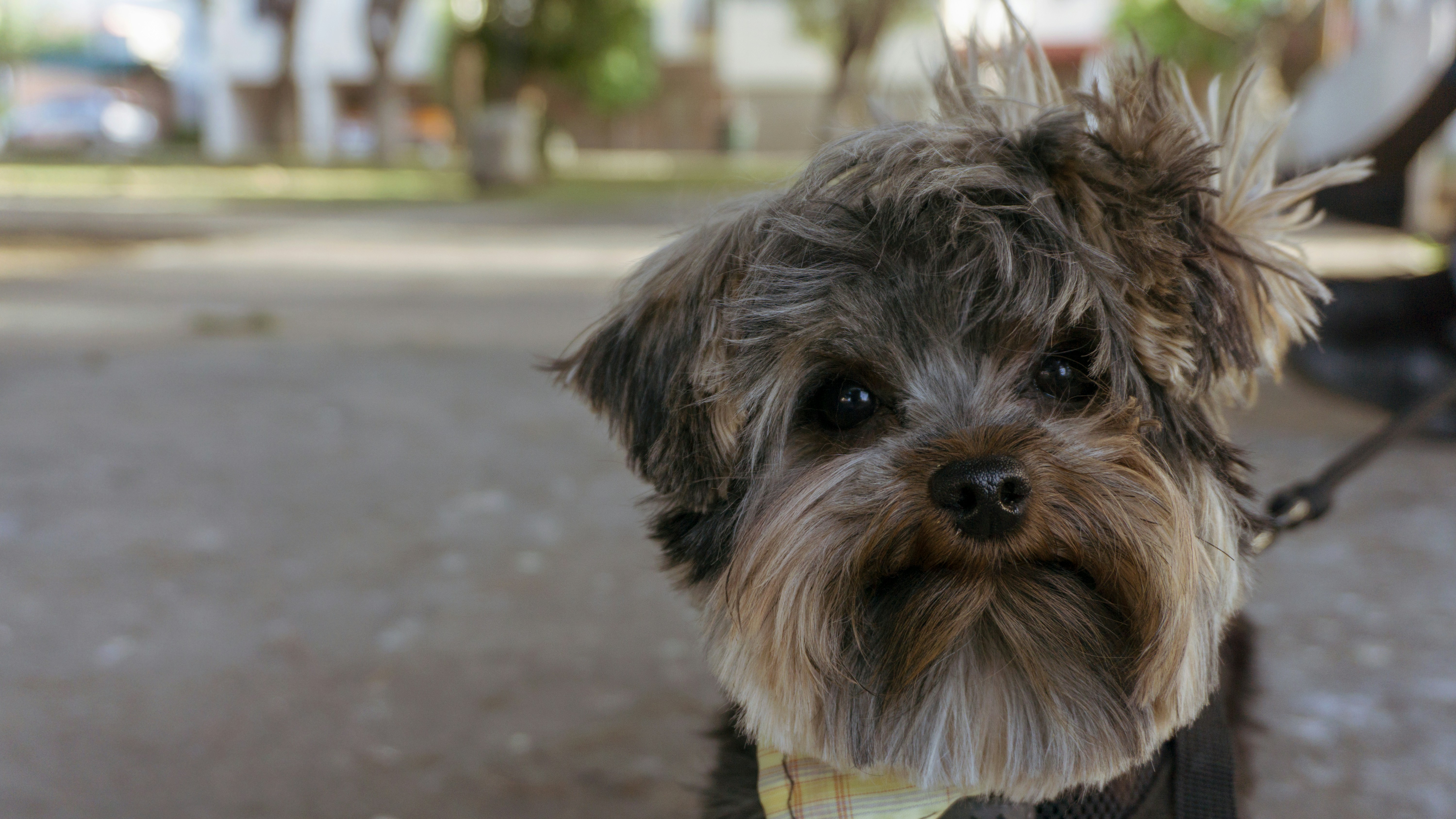 Free Unsplash photo from Joanna Avalos