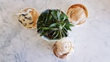 Three cups of ice cream with various flavors are arranged around a potted plant. The ice creams include cookies and cream, caramel, and another mixed flavor. They are set against a marble countertop.