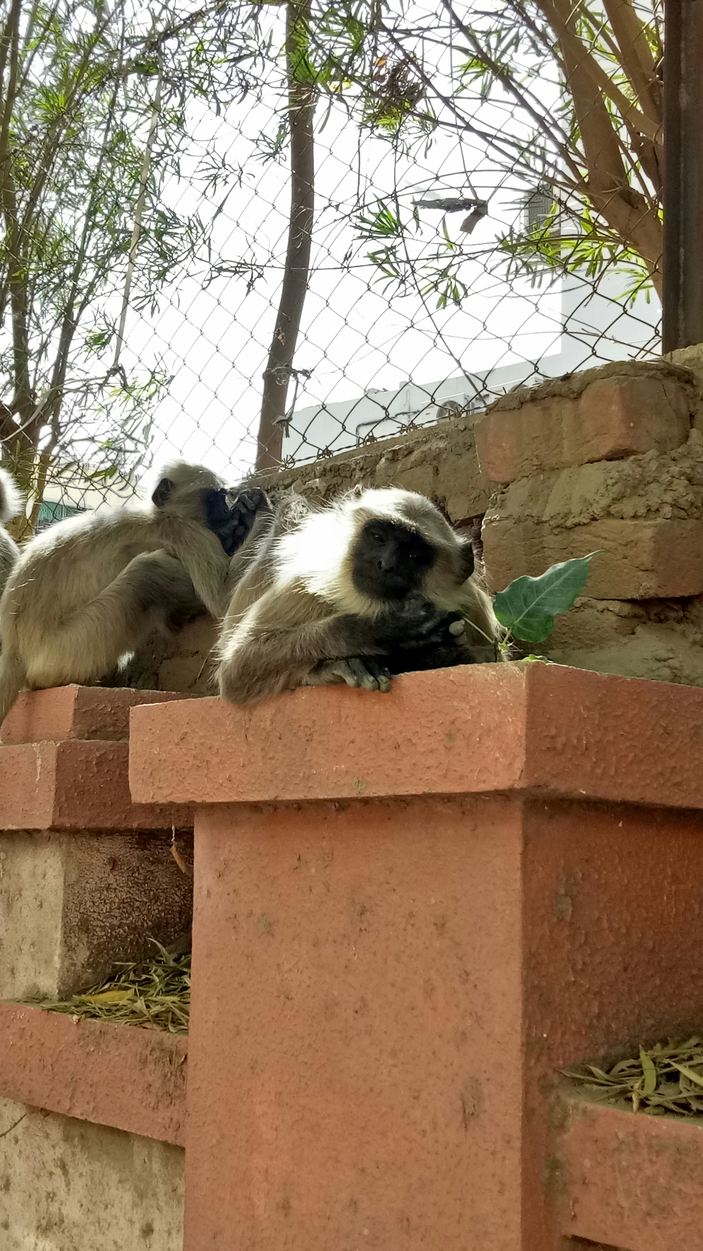 Free Unsplash photo from Parin Panchal