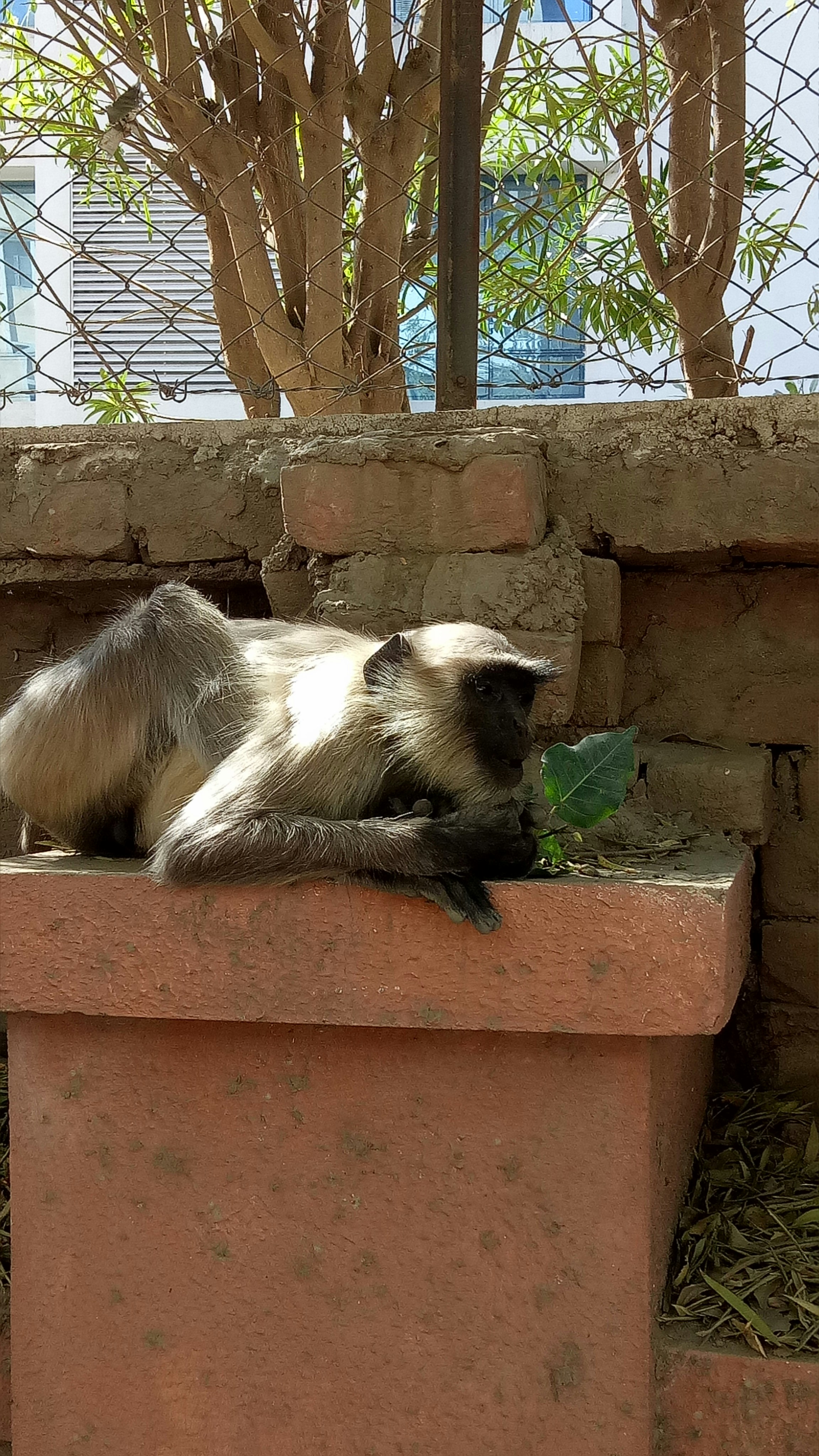 Free Unsplash photo from Parin Panchal