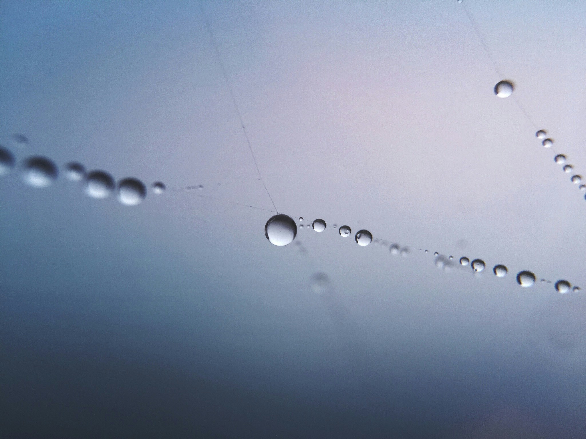 夏日星球测评官网入口手机版，探索夏日星球的奇妙世界