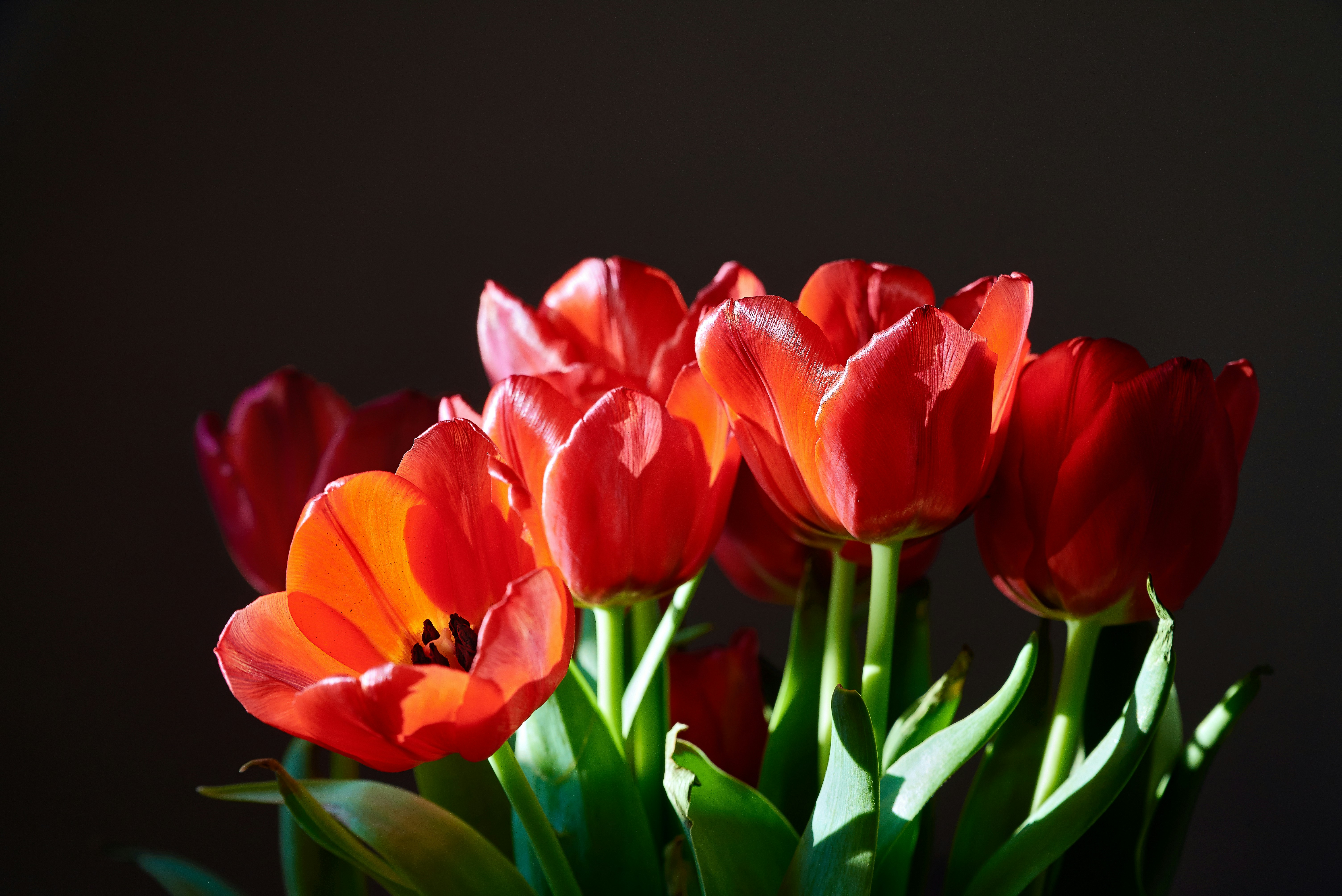 Free Unsplash photo from Wolfram Schoebel