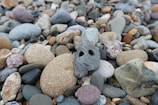 A collection of smooth, multicolored pebbles scattered closely together. One particular stone in the center has a face-like appearance with two holes resembling eyes and a line resembling a smile.