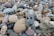 A collection of smooth, multicolored pebbles scattered closely together. One particular stone in the center has a face-like appearance with two holes resembling eyes and a line resembling a smile.