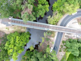 Wide view of a newly constructed railway bridge surrounded by lush greenery