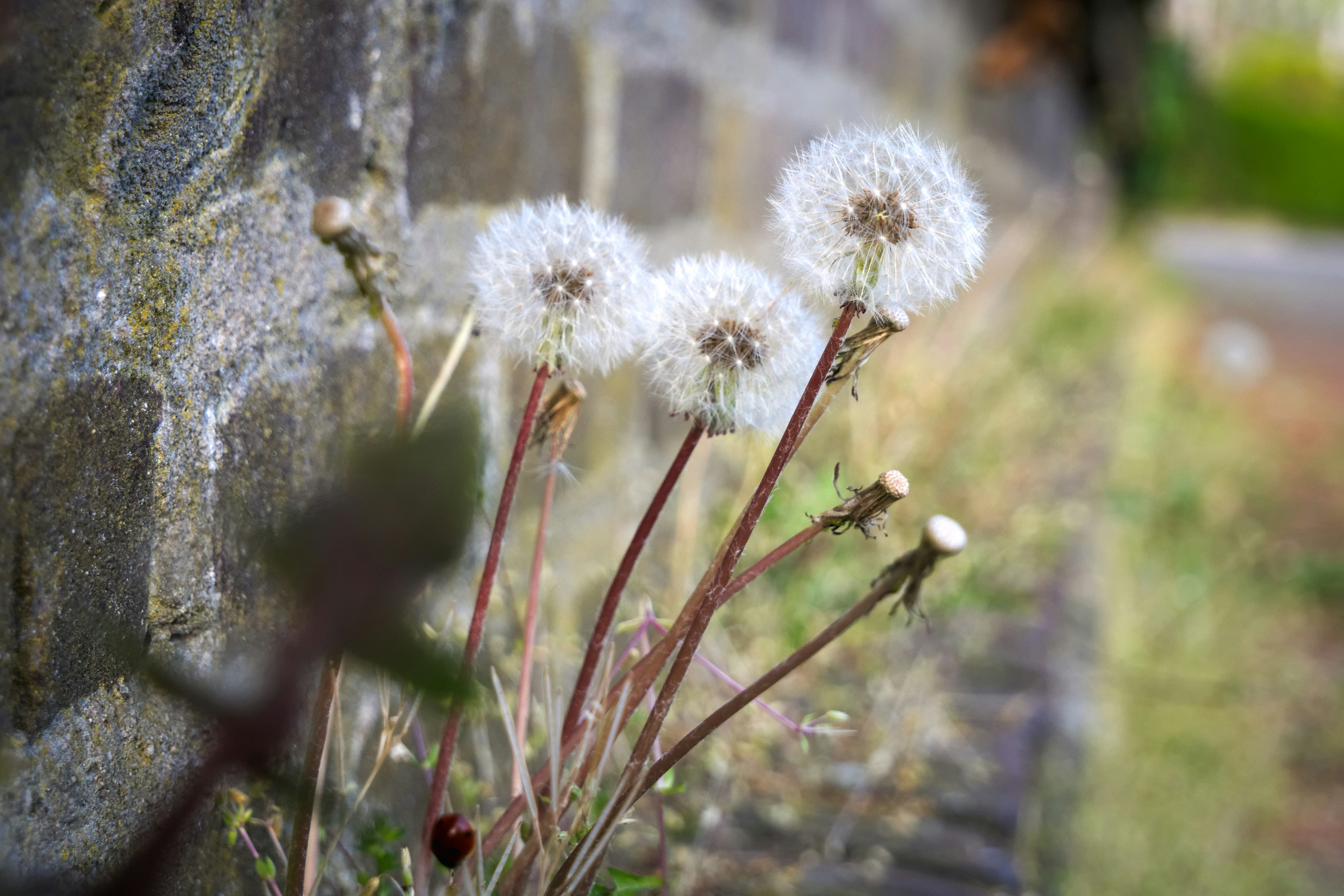 Free Unsplash photo from Harm Weustink