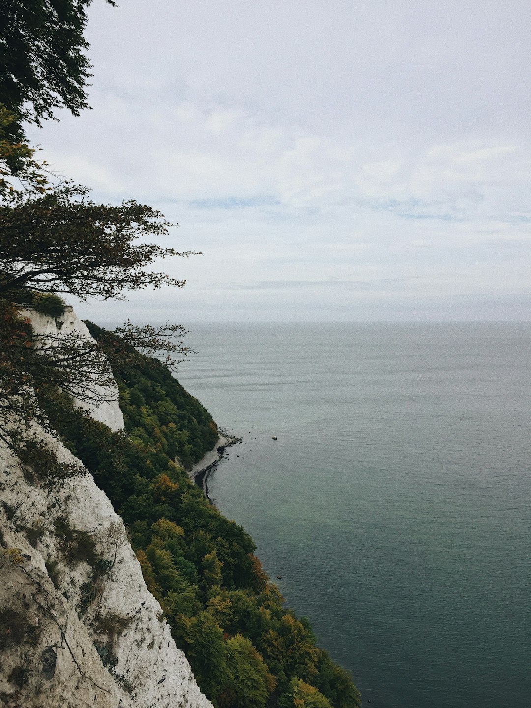 Cliff photo spot Rügen Jasmund National Park