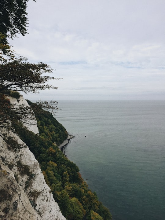 body of water beside trees during daytime in Jasmund National Park Germany