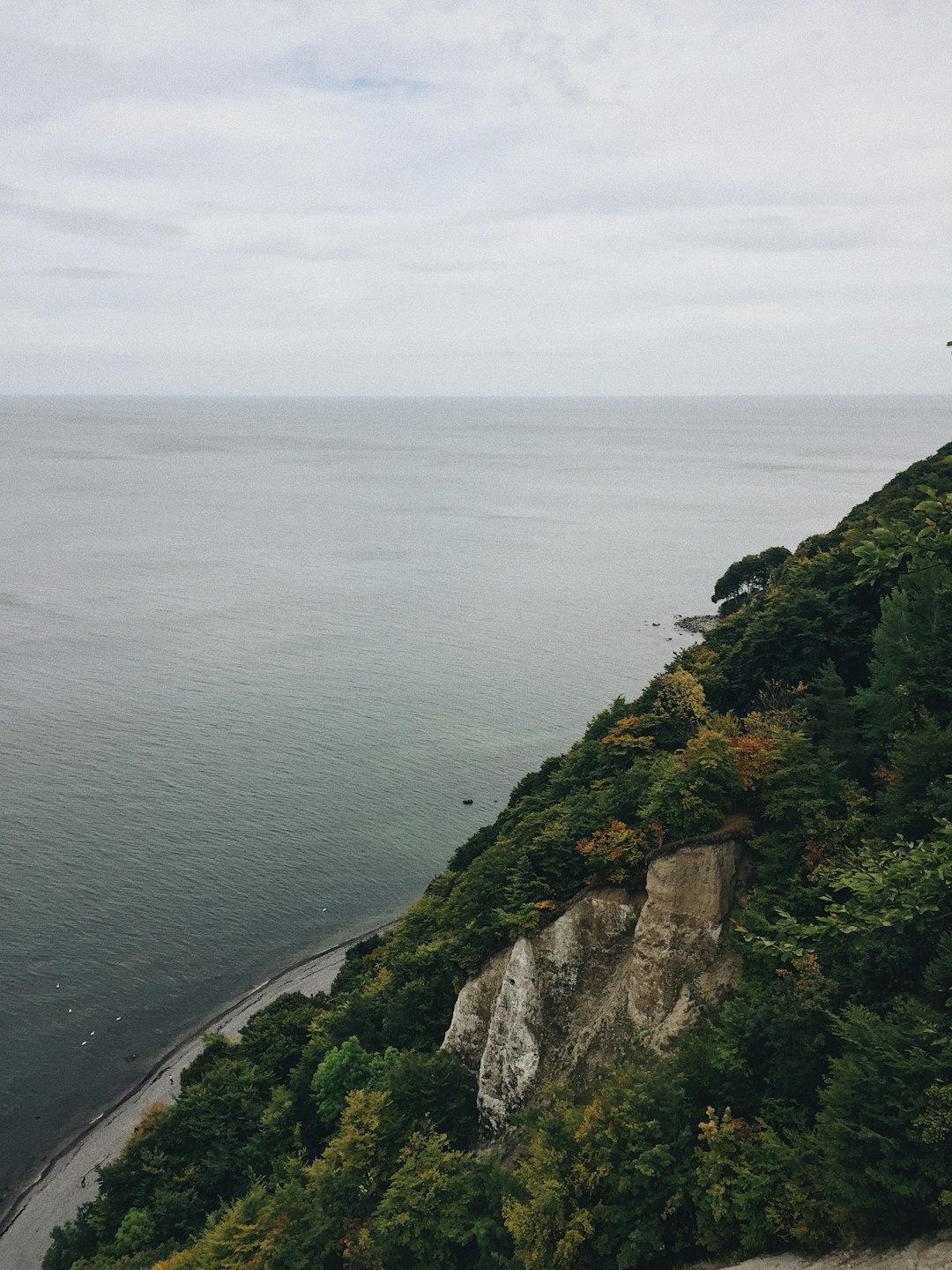 photo of Rügen Cliff near Jasmund National Park