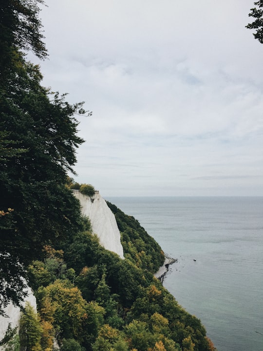 None in Jasmund National Park Germany