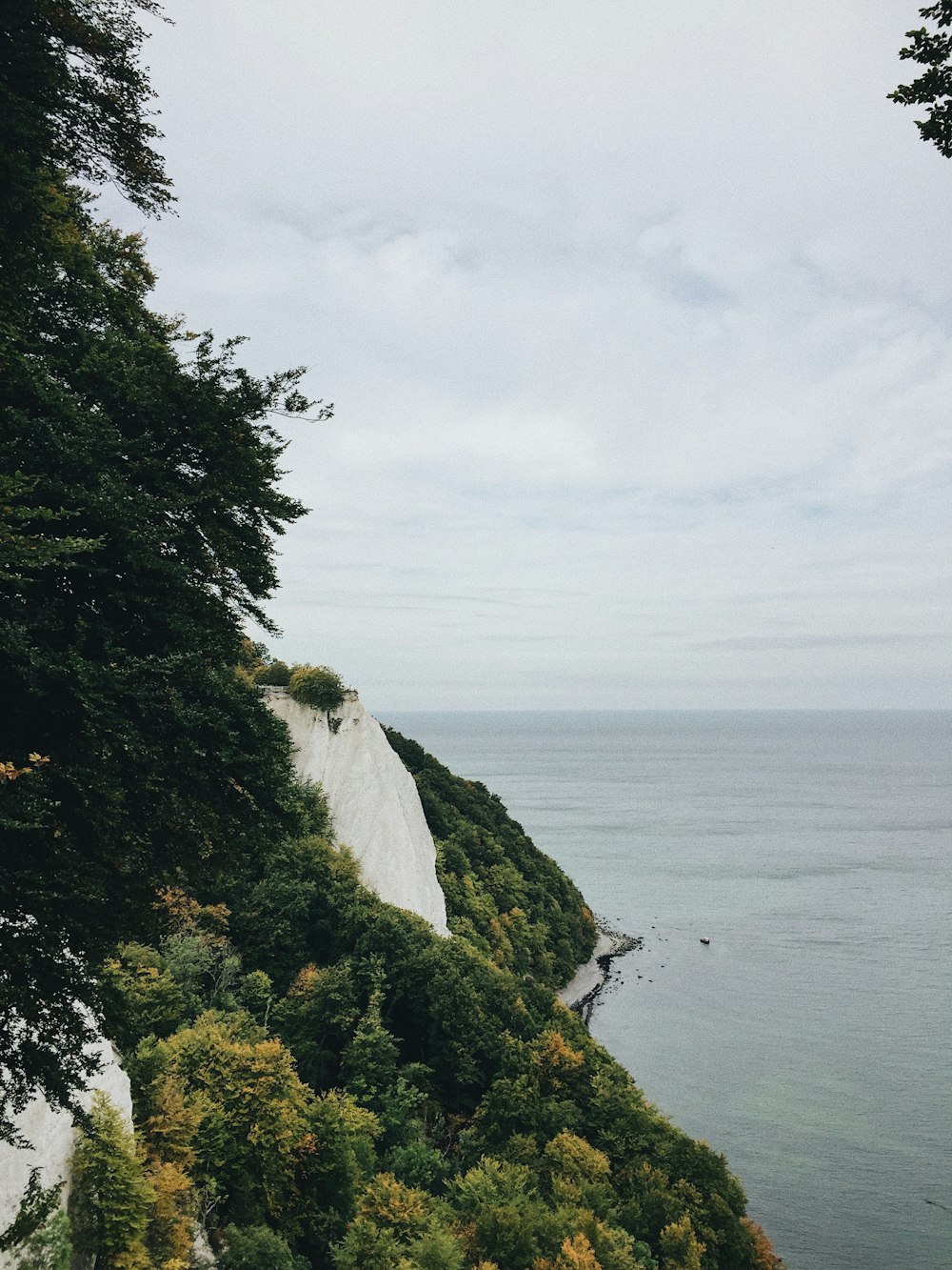 a scenic view of the ocean from a cliff