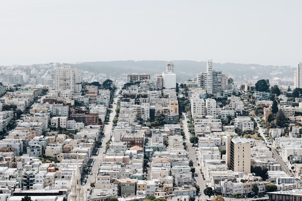 aerial photography of city buildings