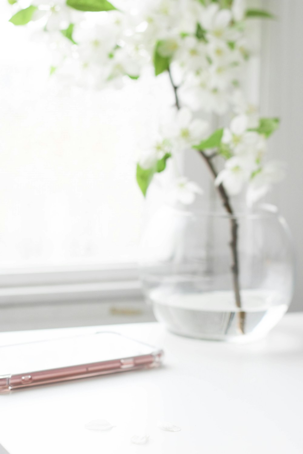 white flowers in clear glass vase on white table