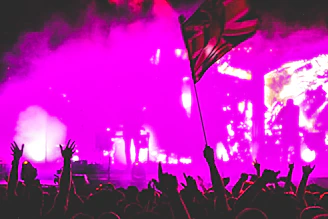 Energetic live concert scene with Venezuelan flags waving among an excited crowd.