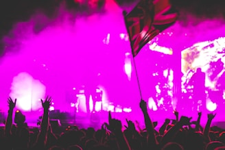 A vibrant concert scene with silhouetted figures in a crowd, arms raised energetically. Bright pink lighting and smoke create a dynamic atmosphere, while a flag is prominently waved among the audience.