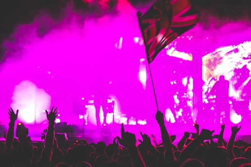 A vibrant concert scene with silhouetted figures in a crowd, arms raised energetically. Bright pink lighting and smoke create a dynamic atmosphere, while a flag is prominently waved among the audience.
