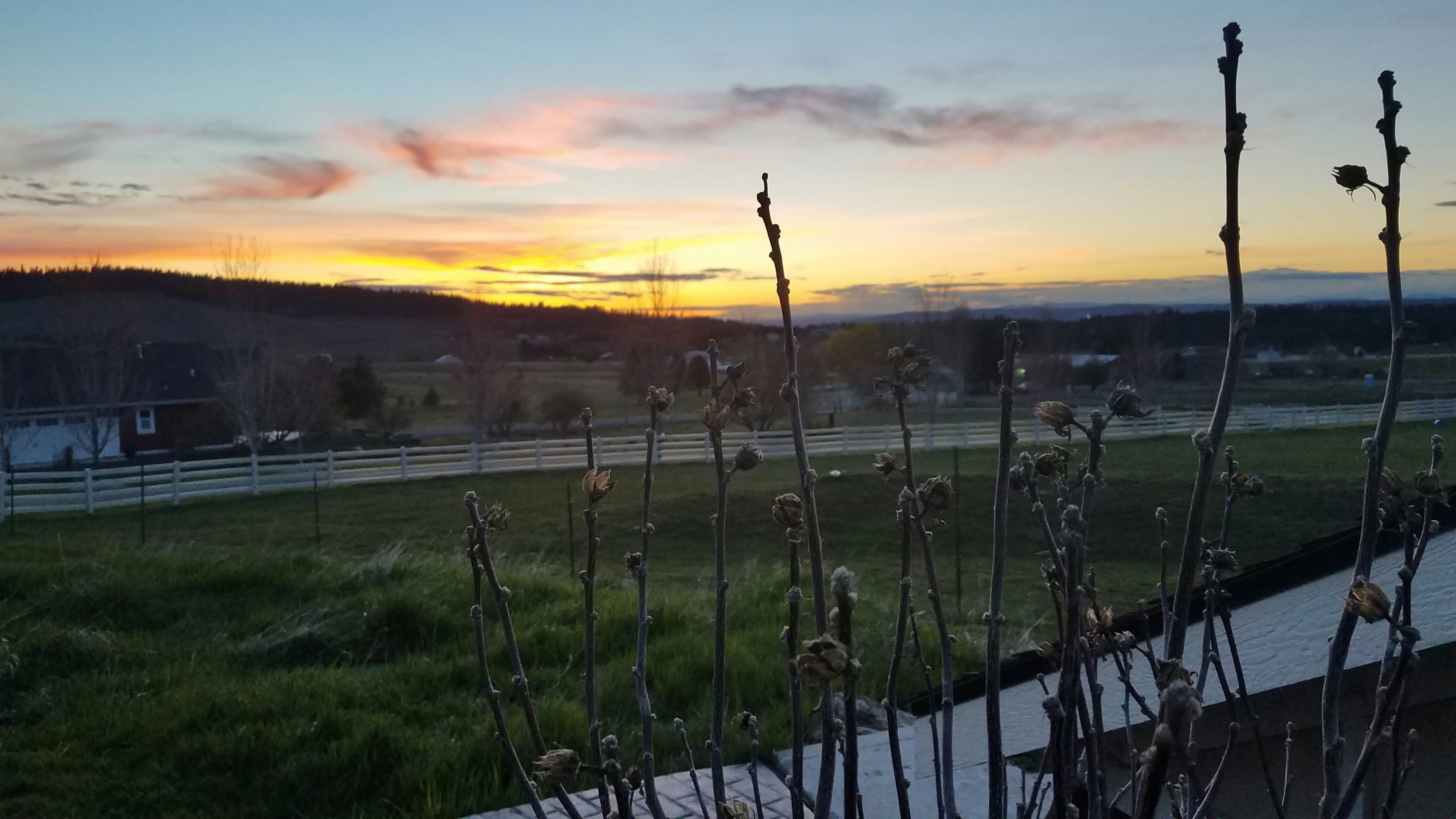 Free Unsplash photo from Nick Peterson