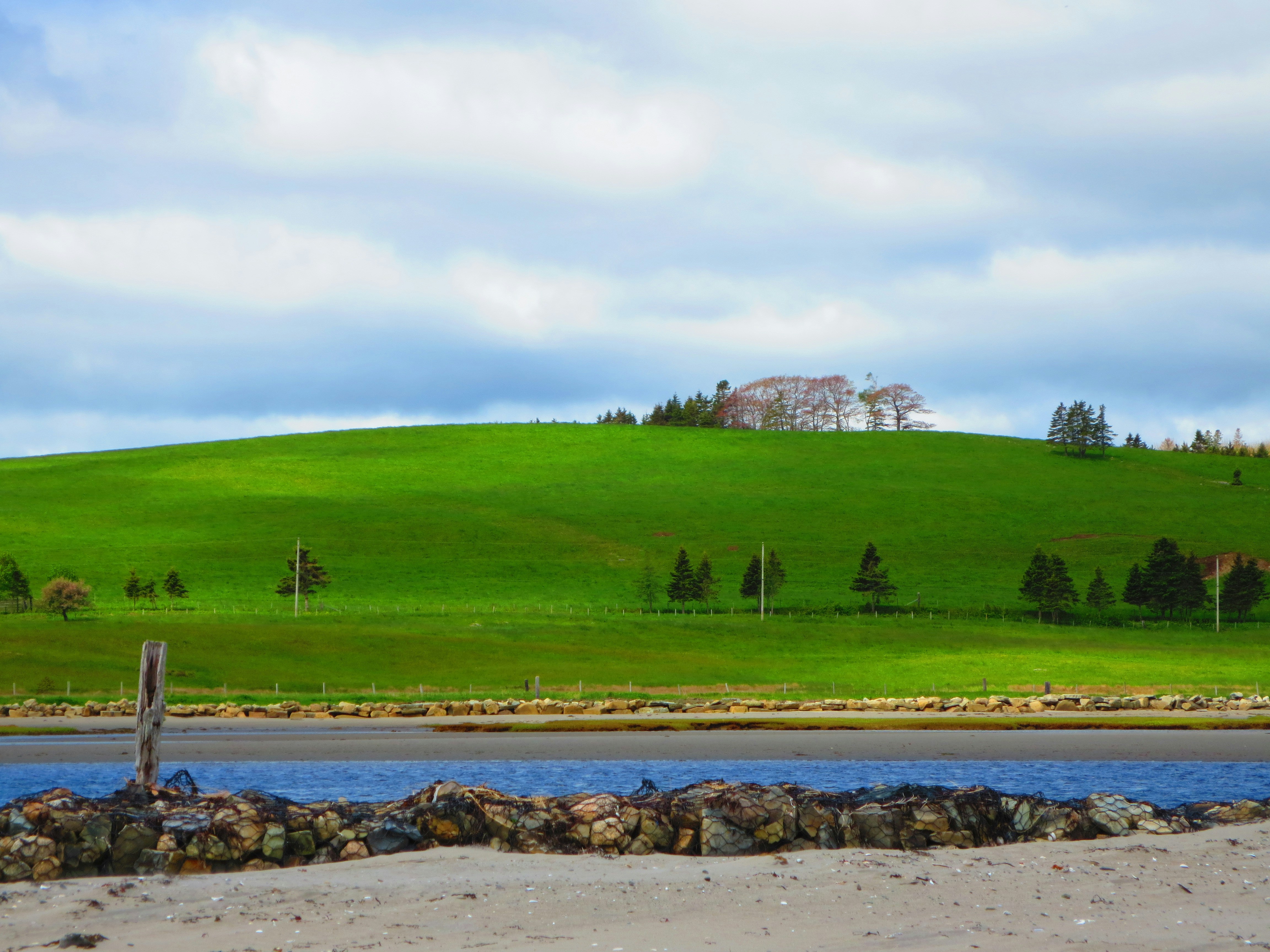 Free Unsplash photo from Kamie Branch