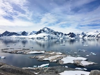 A scenic view of polar landscapes showcasing icebergs and snowy terrain.
