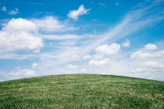 landscape of grass field under blue sky