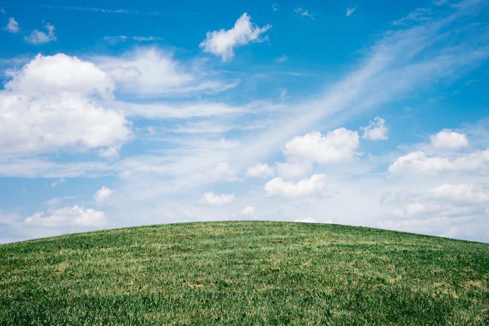 Paysage de champ d’herbe sous ciel bleu