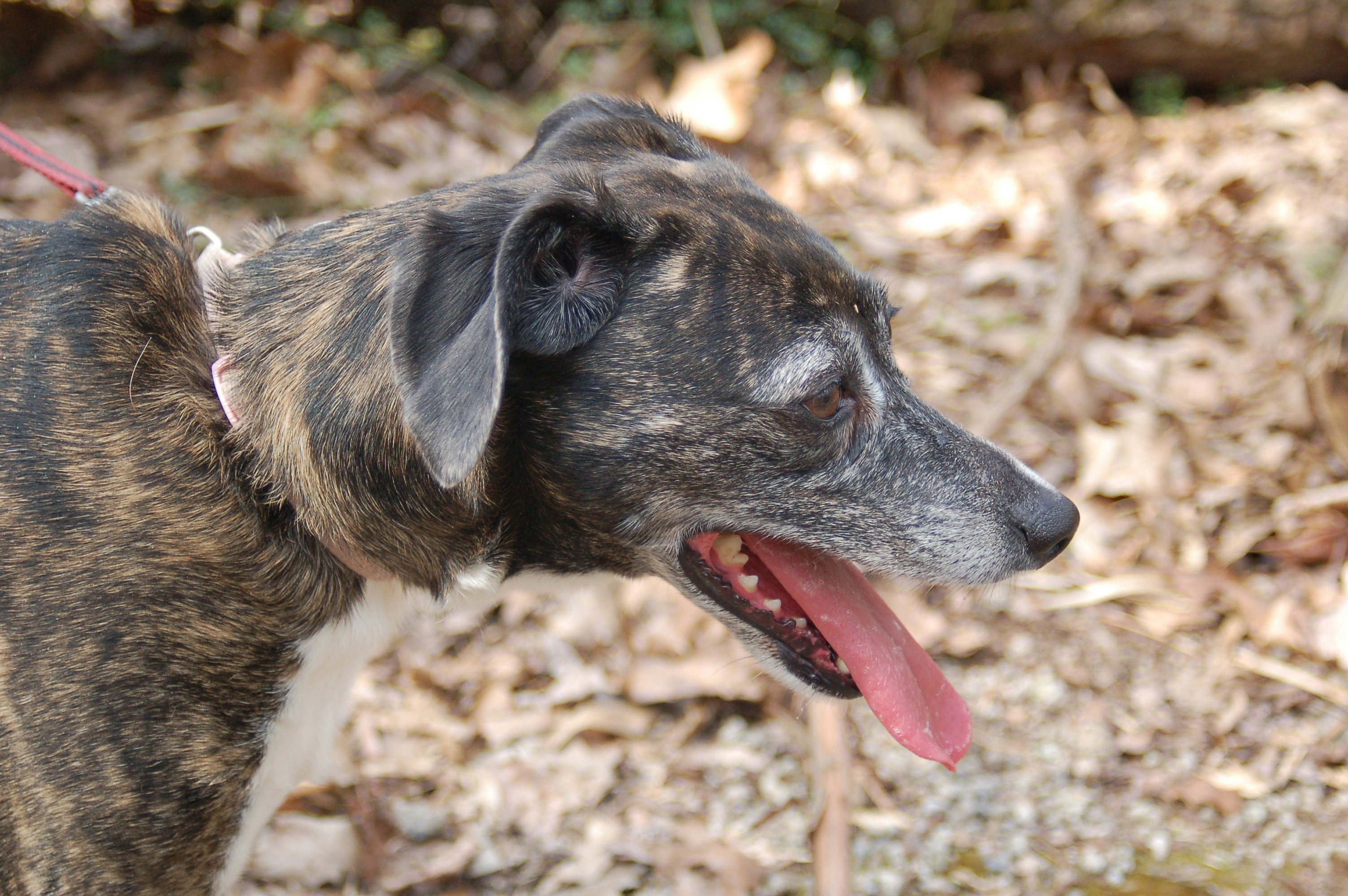 Free Unsplash photo from Angelica Hughes