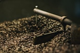 A close-up view of roasted coffee beans inside a coffee roaster. The beans are dark and oily, indicating a deep roast. The metal arm of the roaster is visible, designed to stir the beans for even roasting.