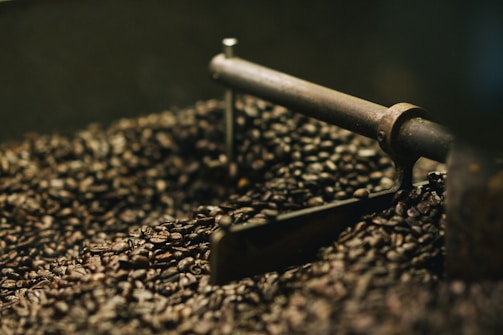 A close-up view of roasted coffee beans inside a coffee roaster. The beans are dark and oily, indicating a deep roast. The metal arm of the roaster is visible, designed to stir the beans for even roasting.