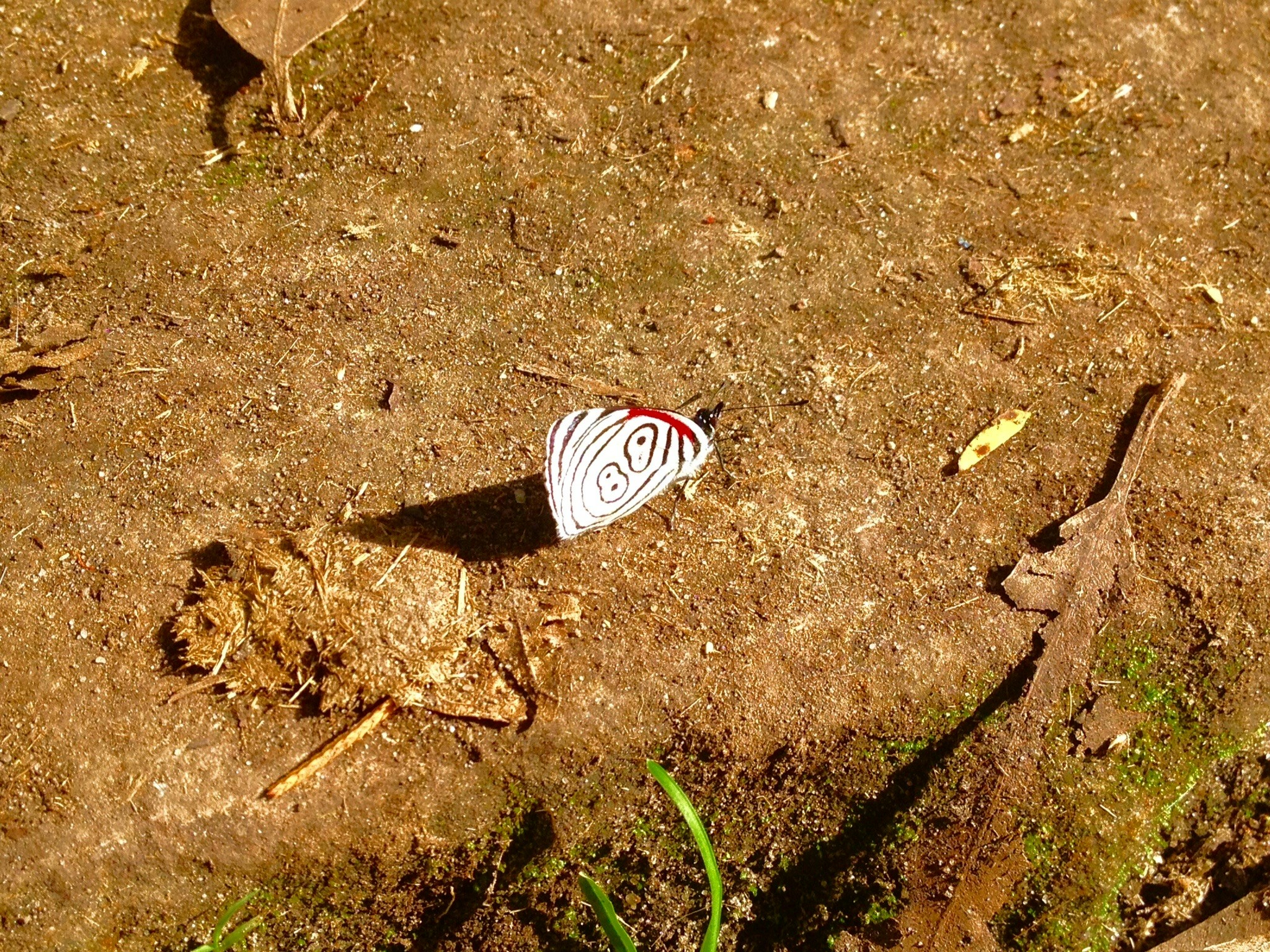 Free Unsplash photo from Erick Nuñez