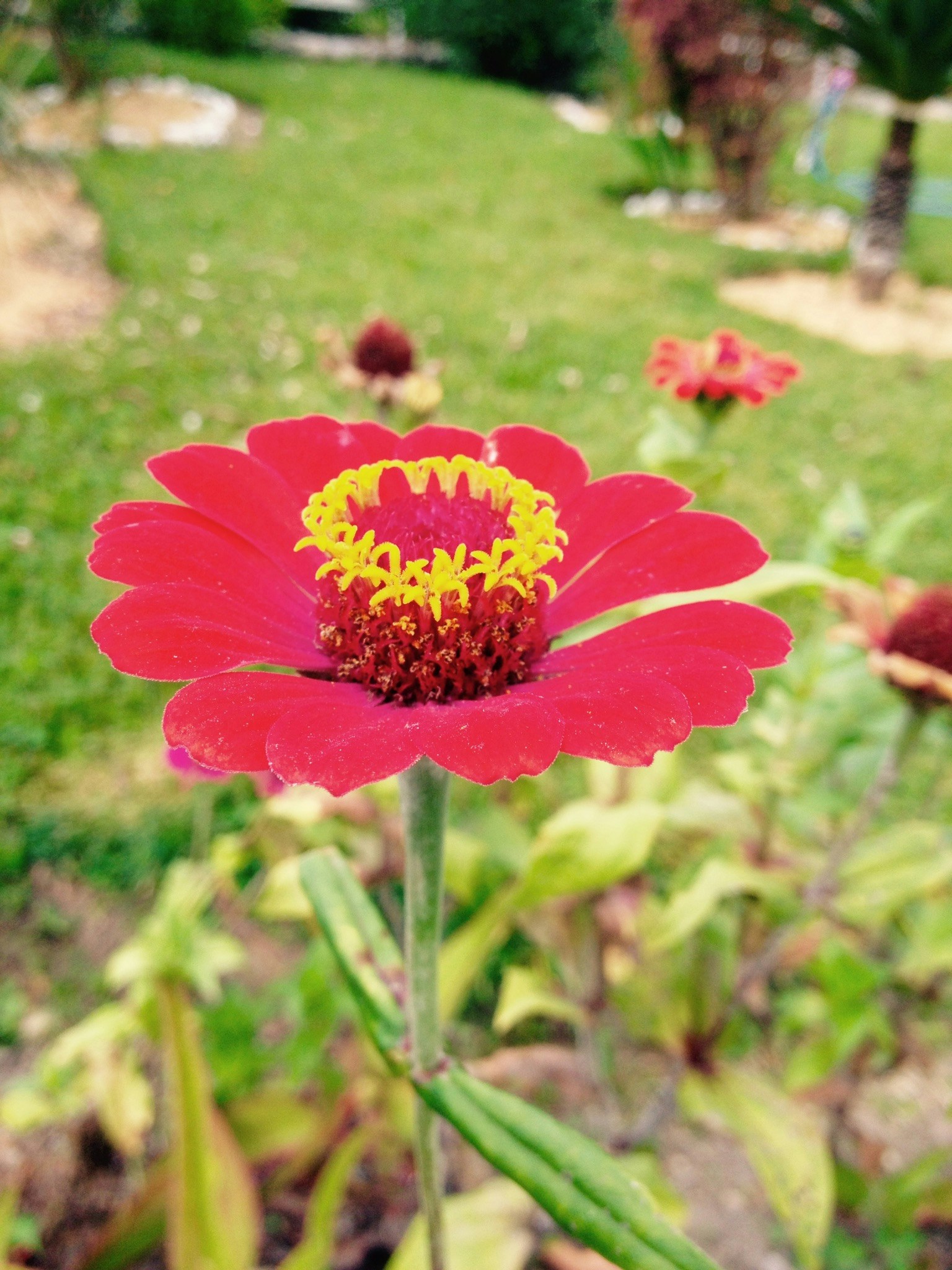 Free Unsplash photo from Erick Nuñez