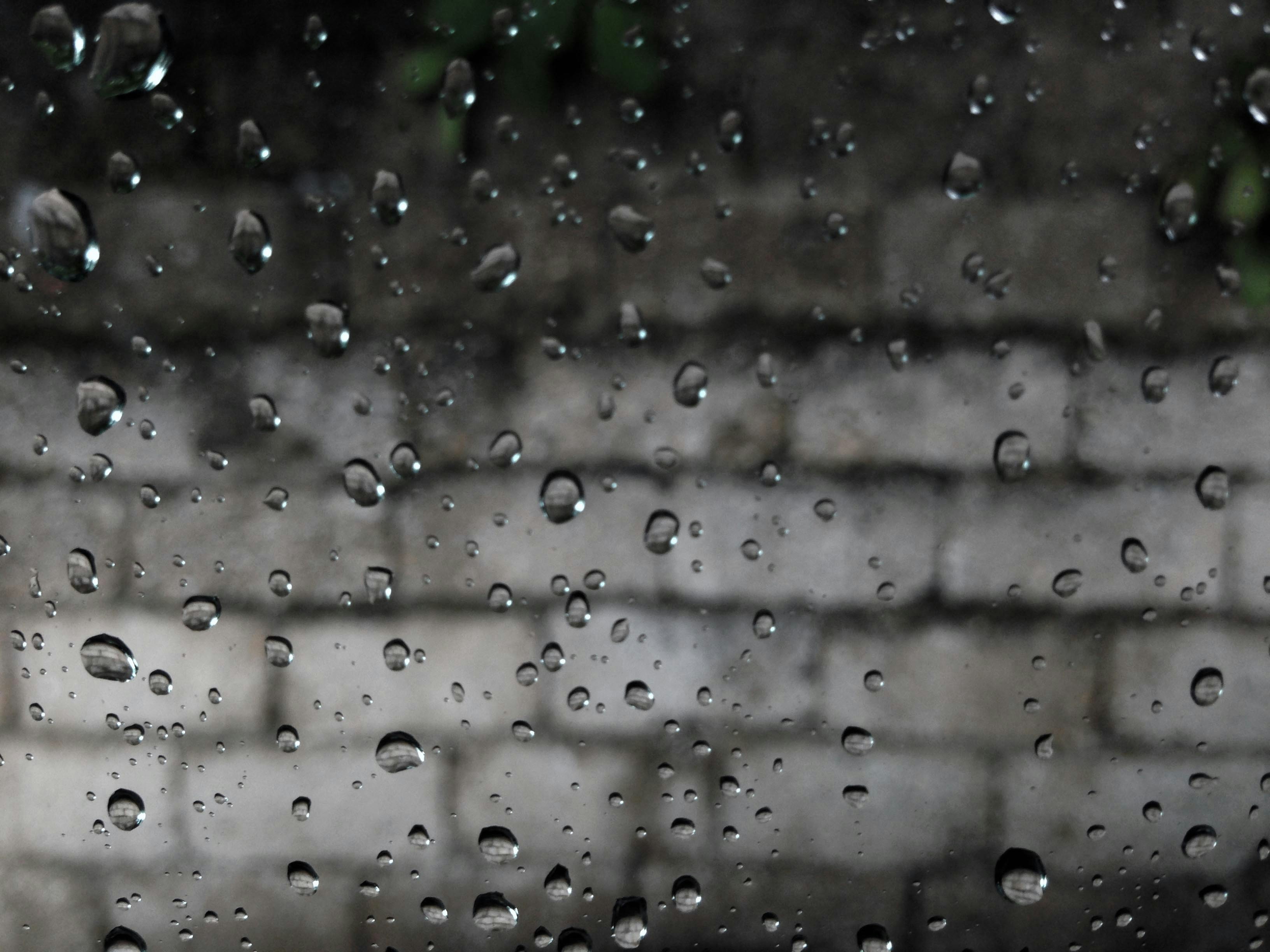 Free Unsplash photo from Alpaslan Bak