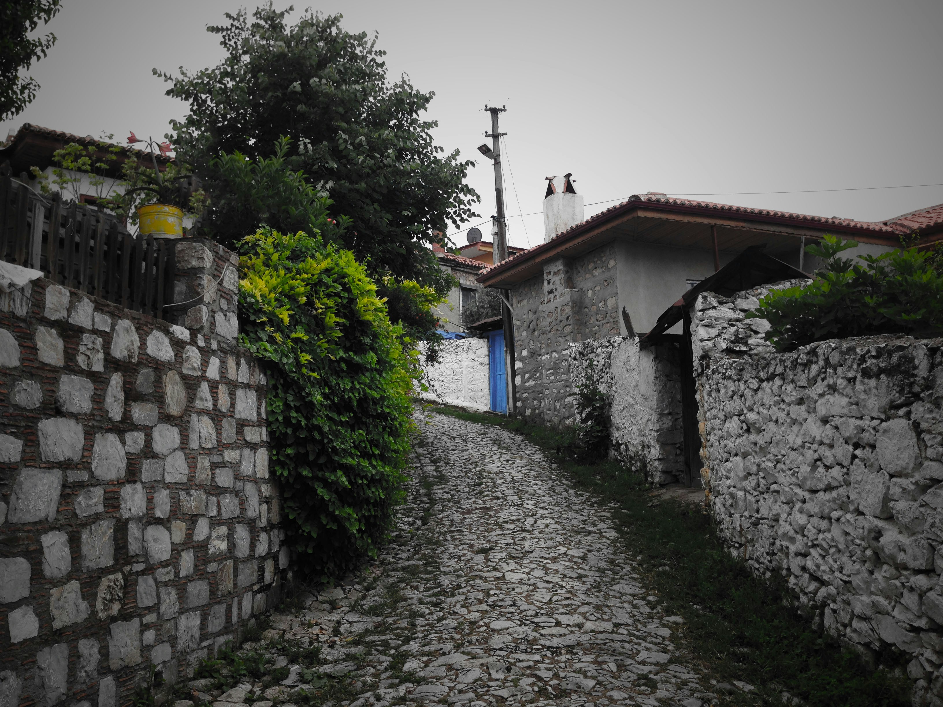 Free Unsplash photo from Alpaslan Bak