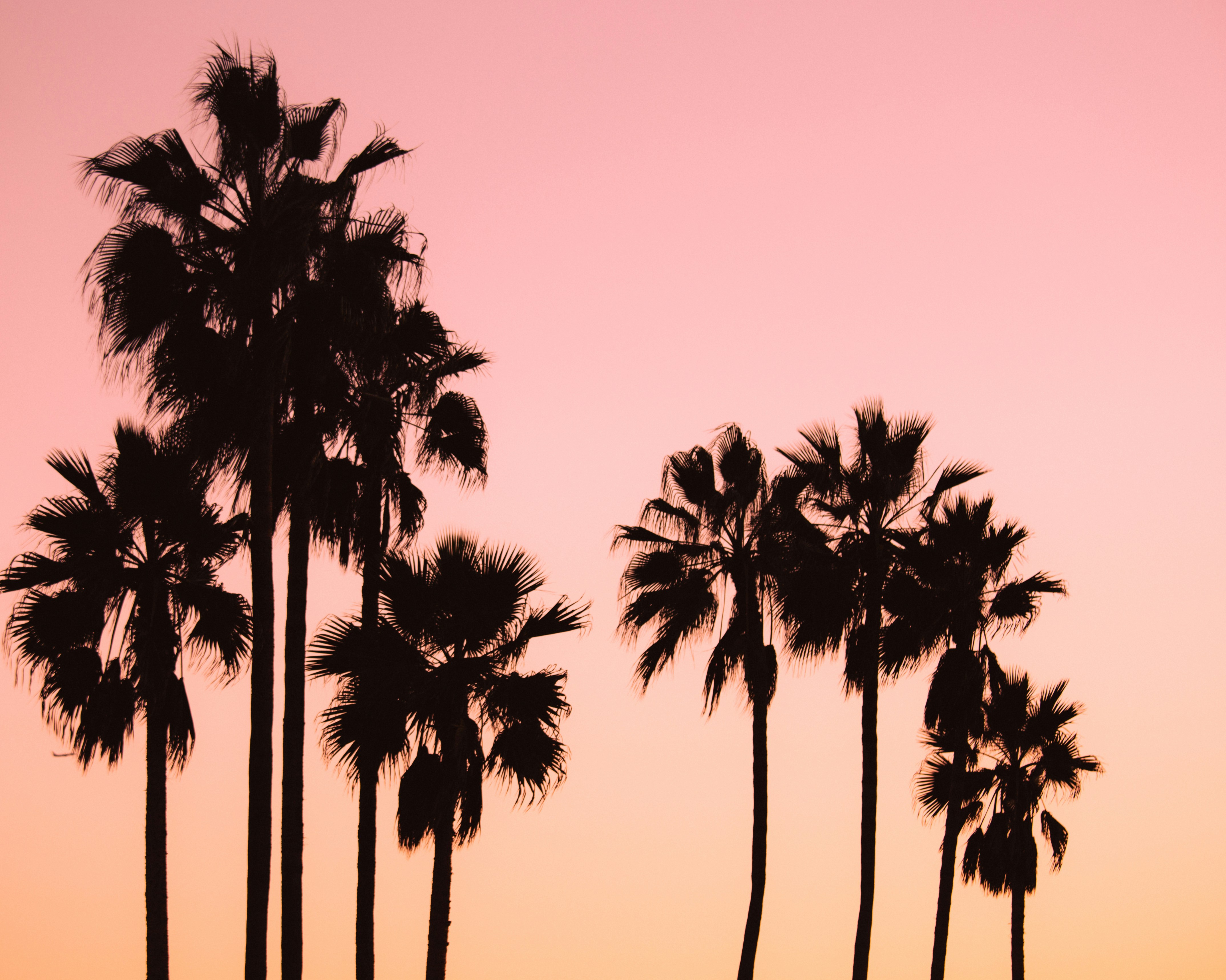 Free Unsplash photo from Bálint Popovits