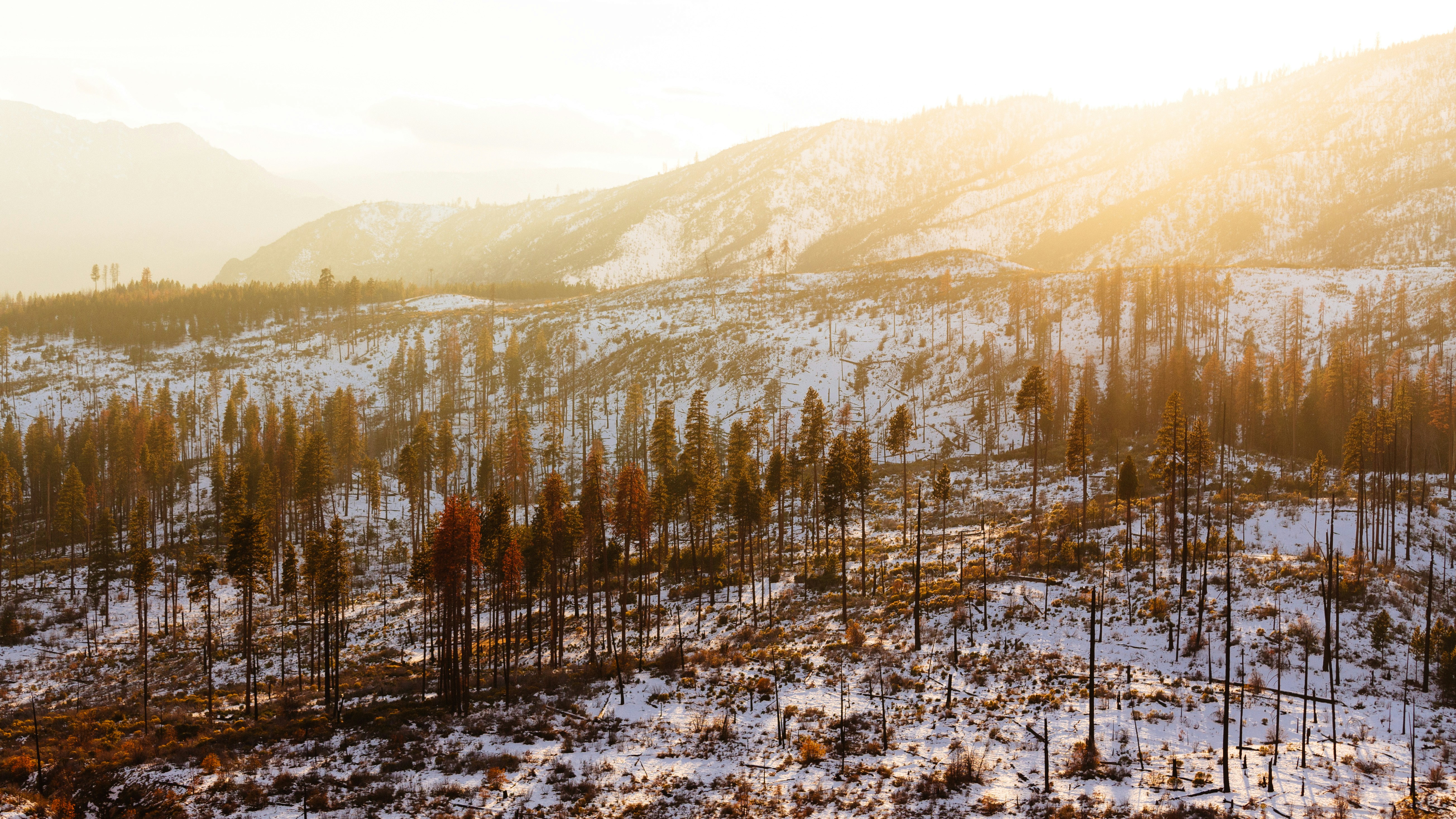 Free Unsplash photo from Bálint Popovits