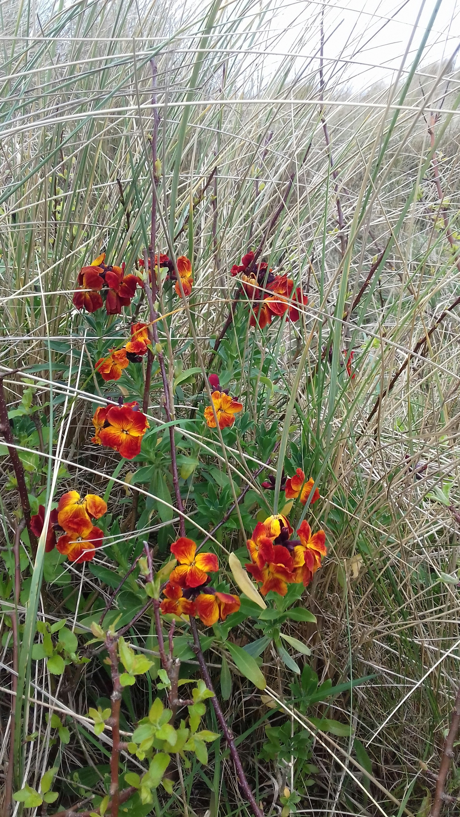 Free Unsplash photo from Katherine  Carlyon