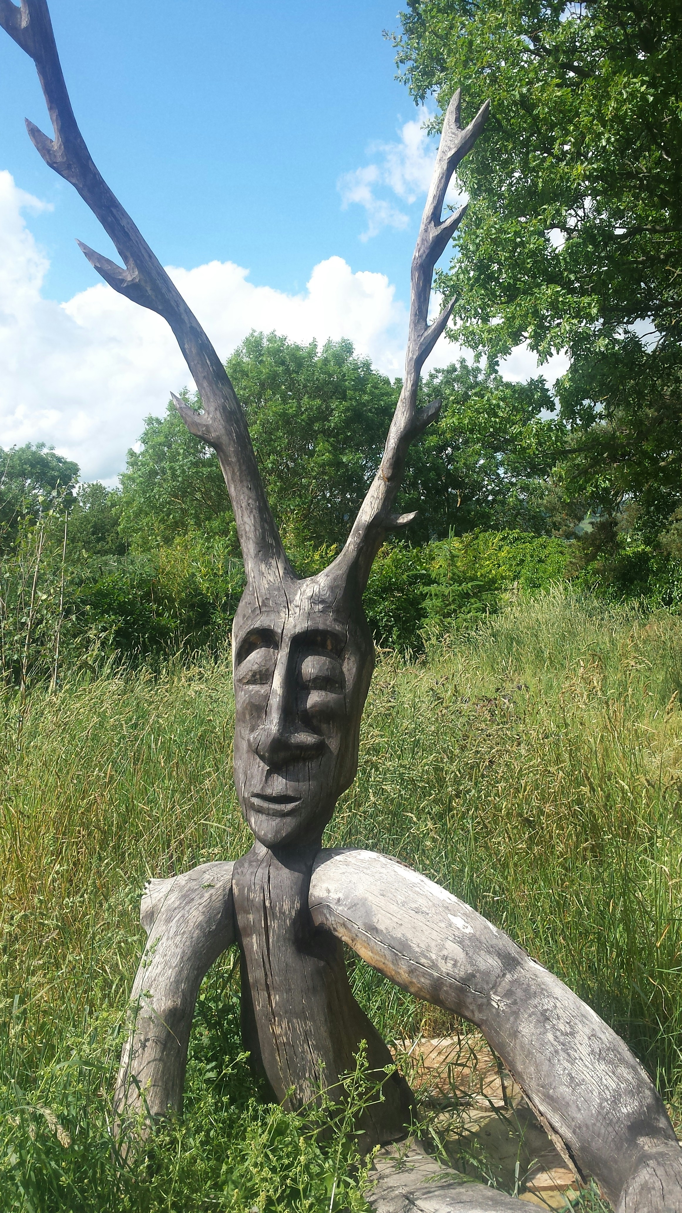 Free Unsplash photo from Katherine  Carlyon