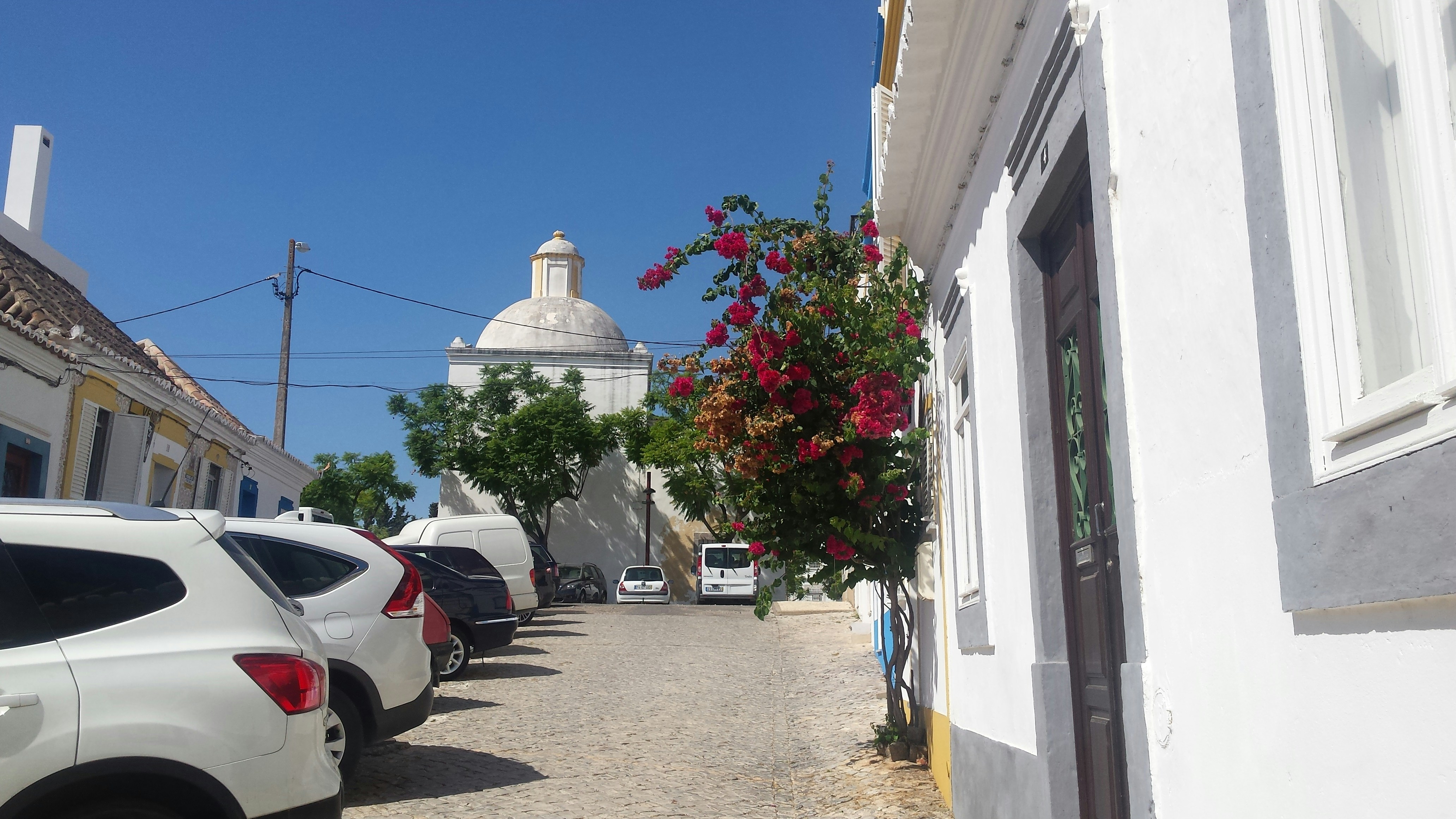 Free Unsplash photo from Katherine  Carlyon