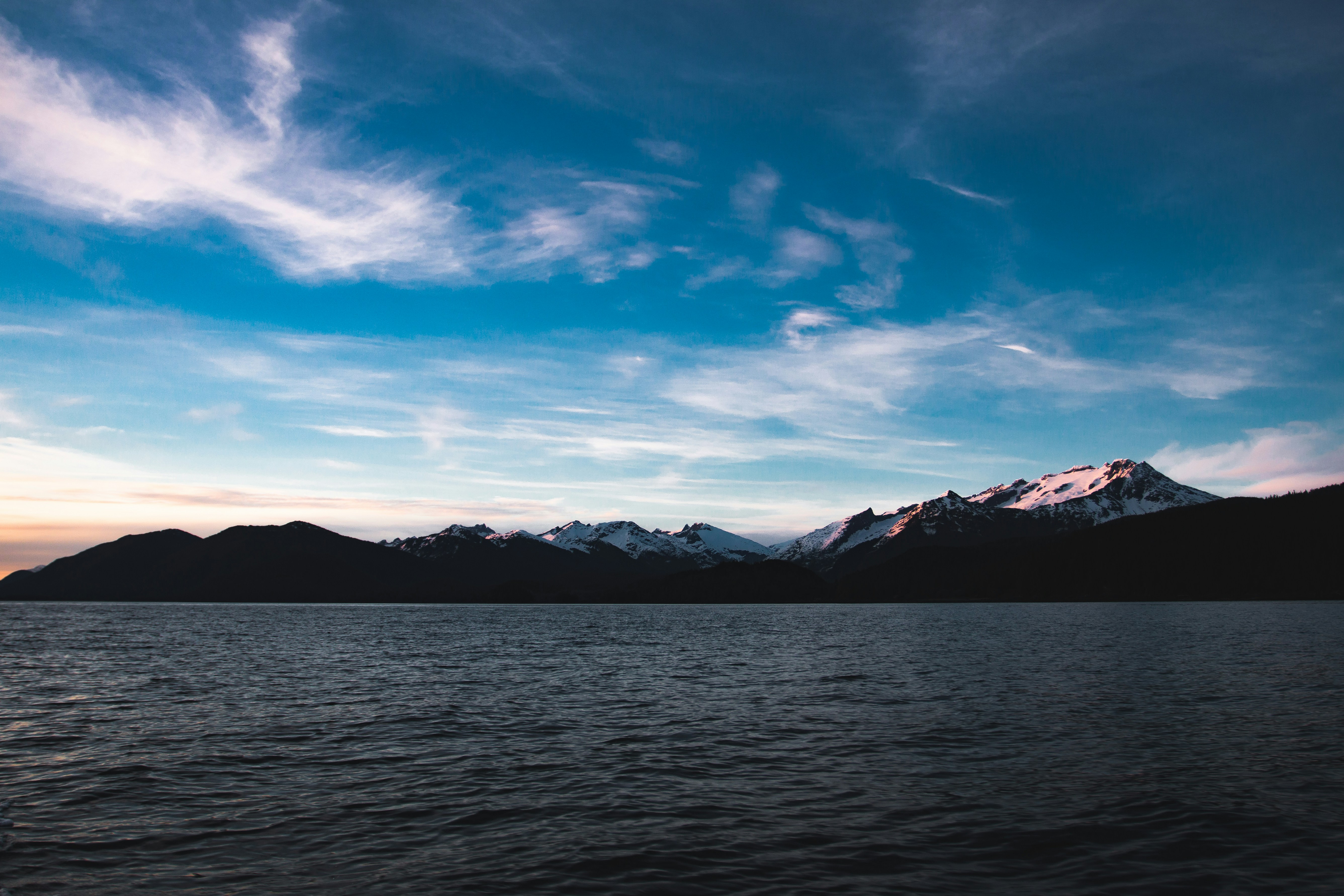 Free Unsplash photo from Steve Halama