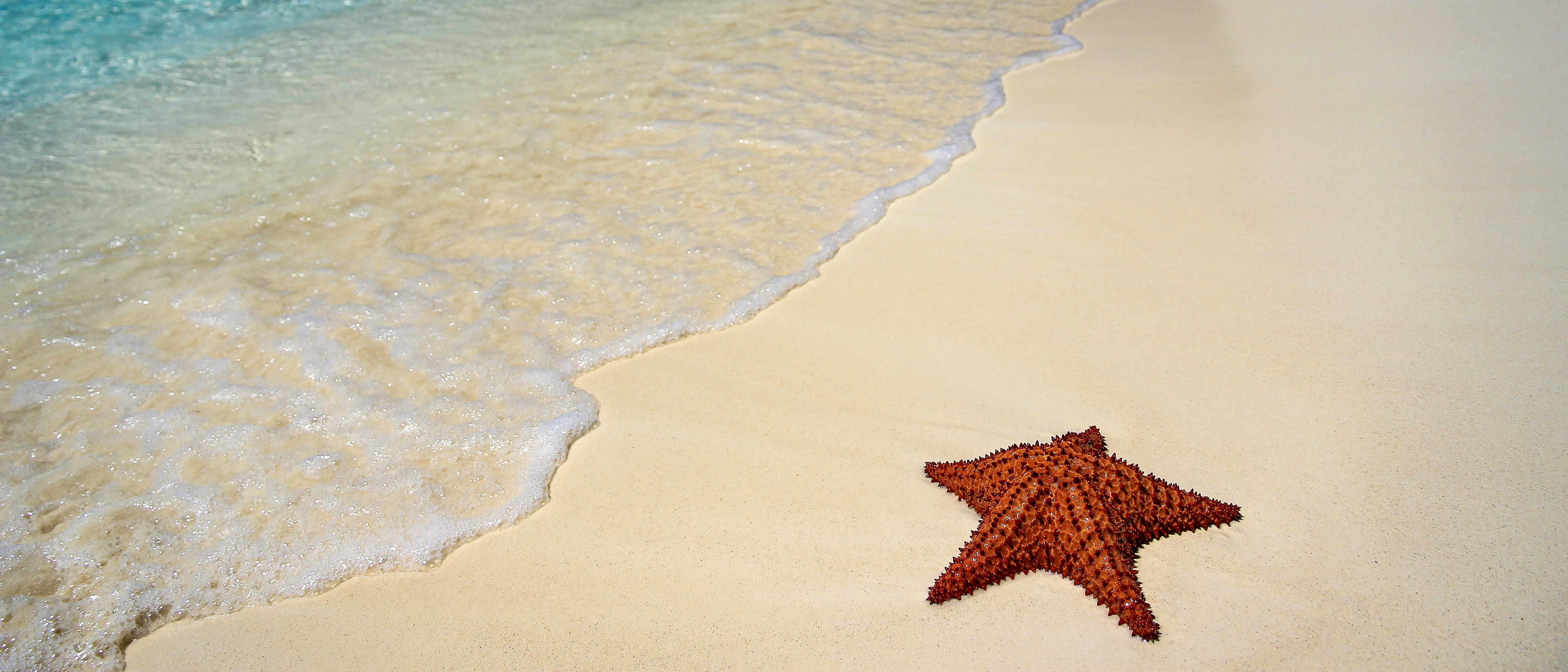 Free Unsplash photo from Alex Guillaume