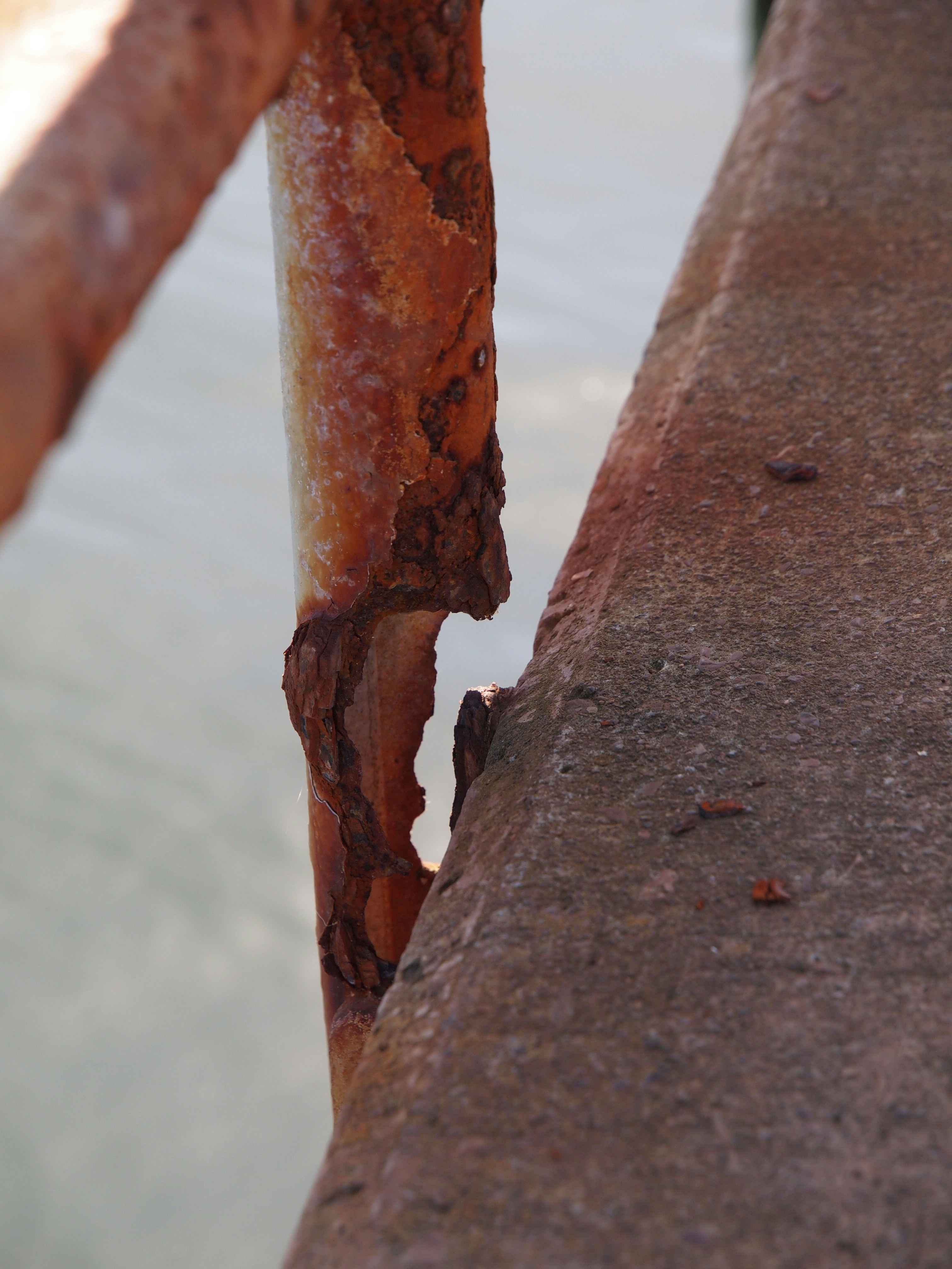 Free Unsplash photo from Chris Lisle