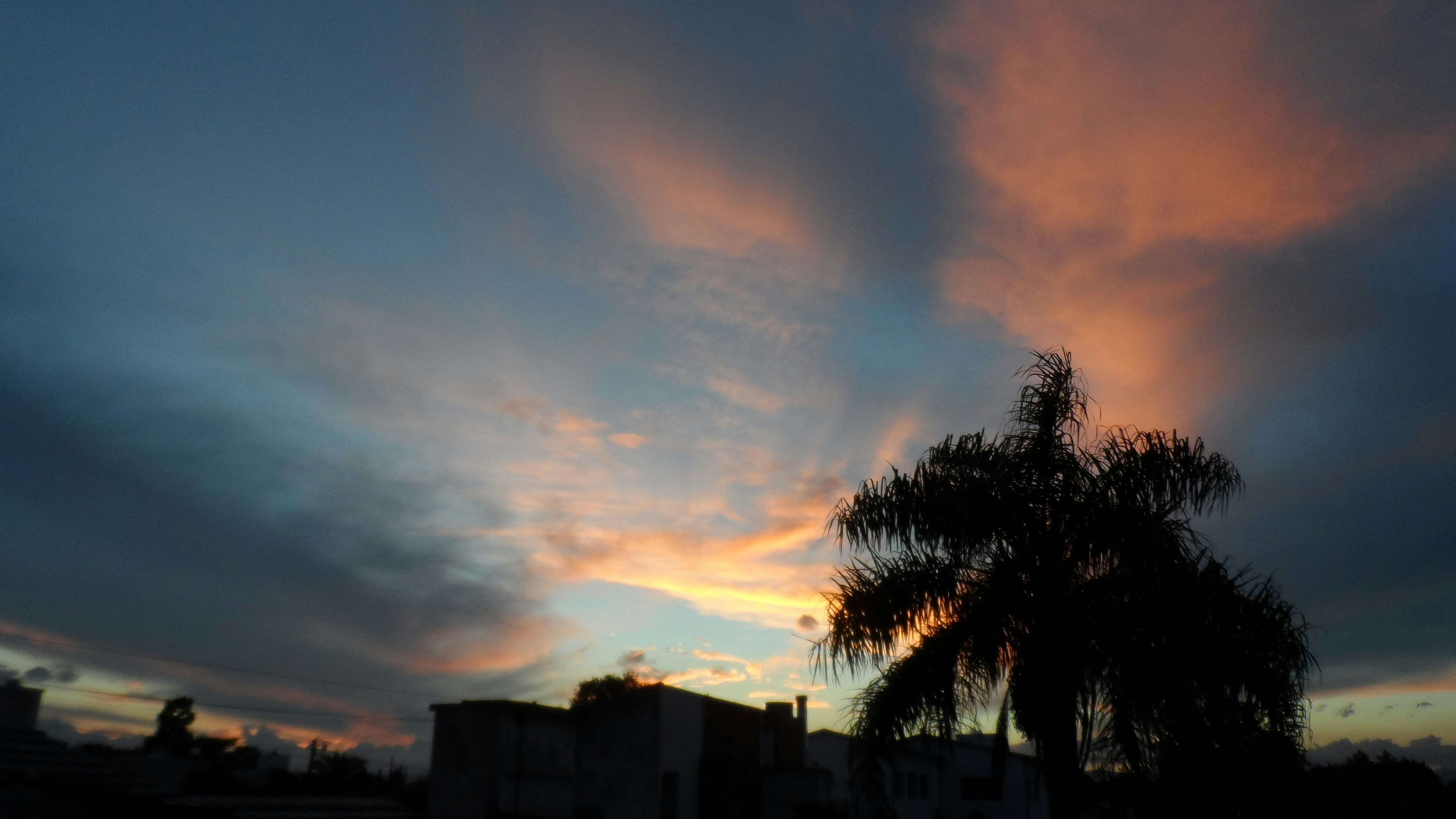 Free Unsplash photo from Alejandro Lazcano