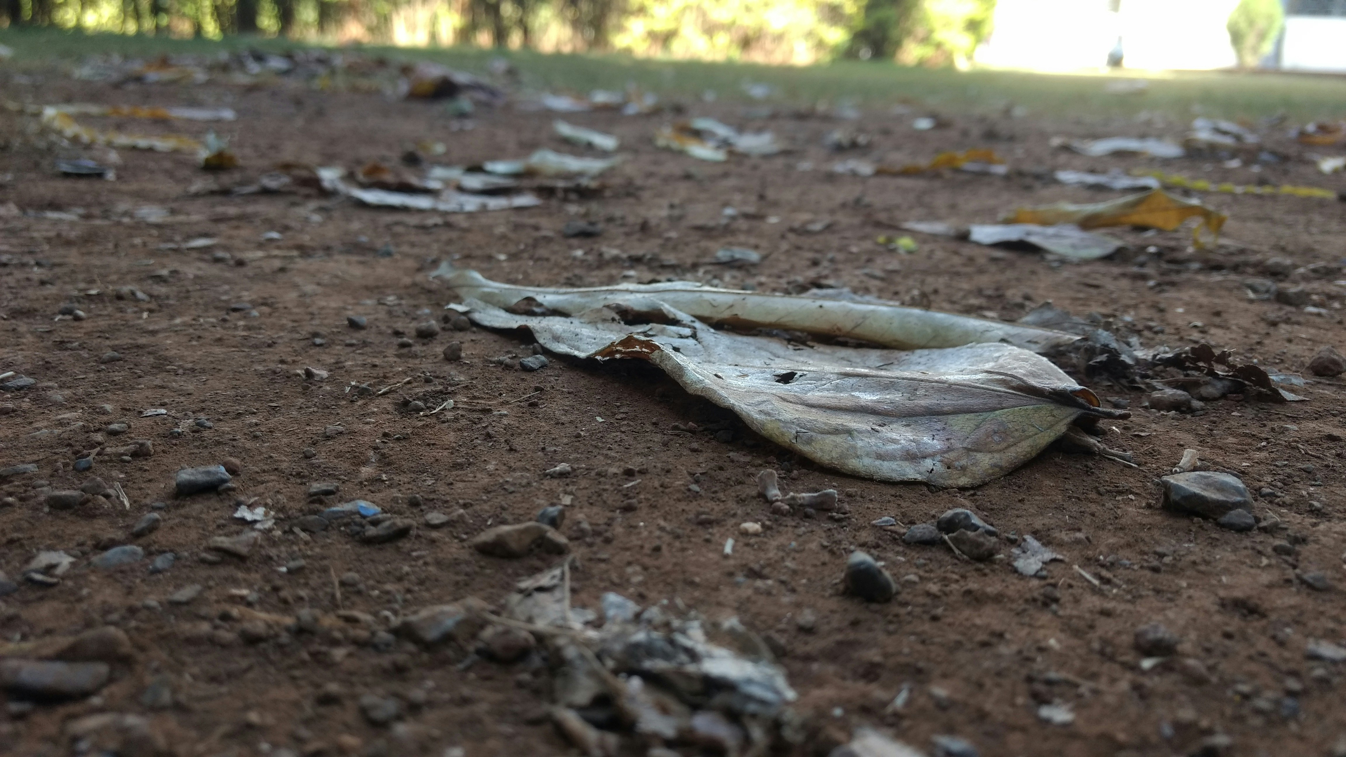 Free Unsplash photo from Anuj Thakare