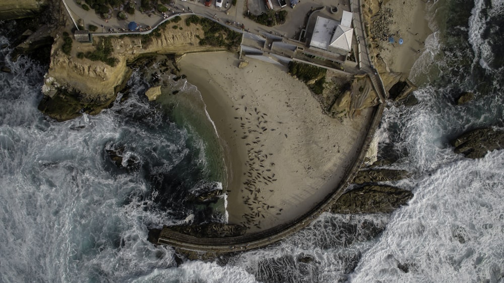 aerial photo of beach