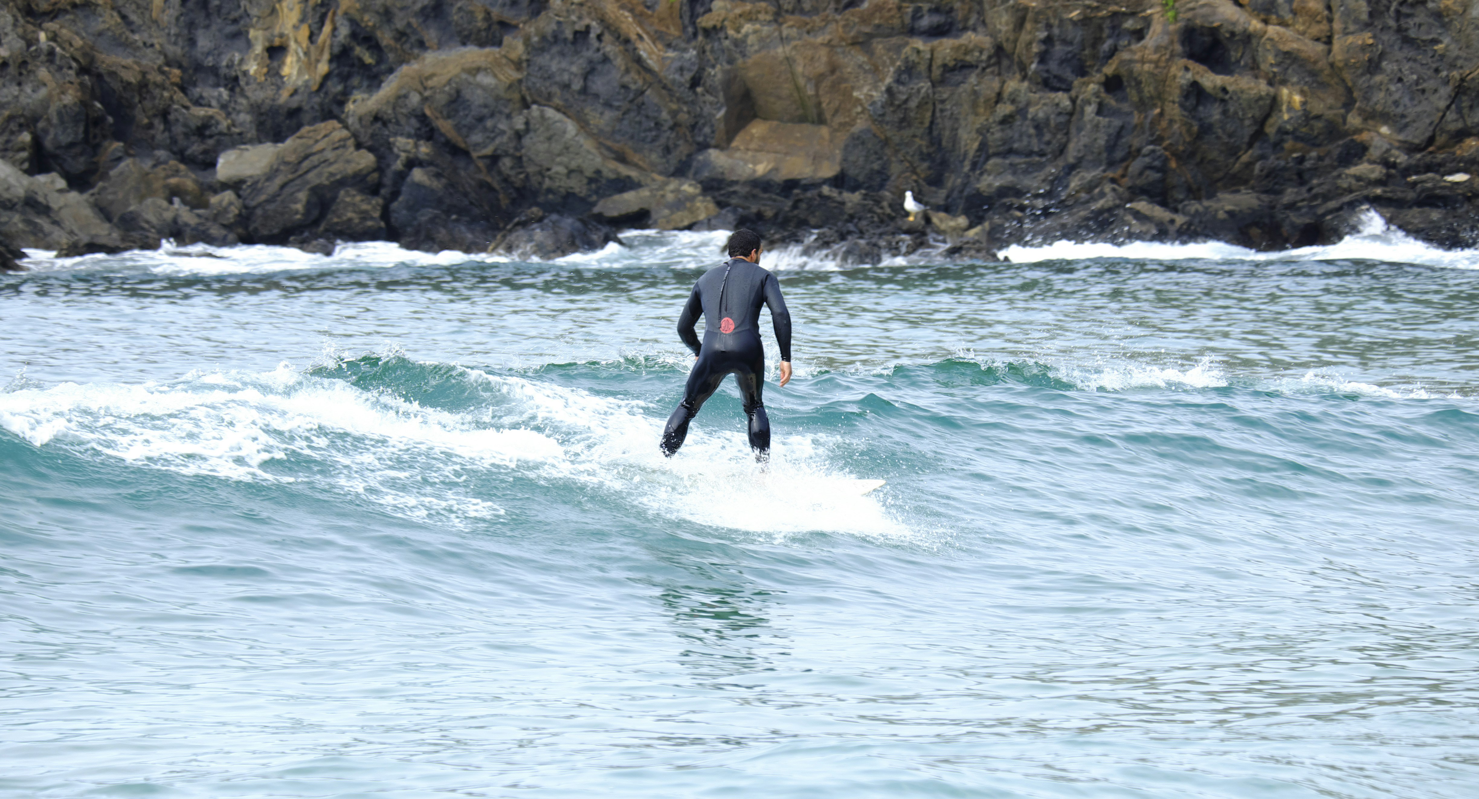 Free Unsplash photo from Miguel A. Amutio