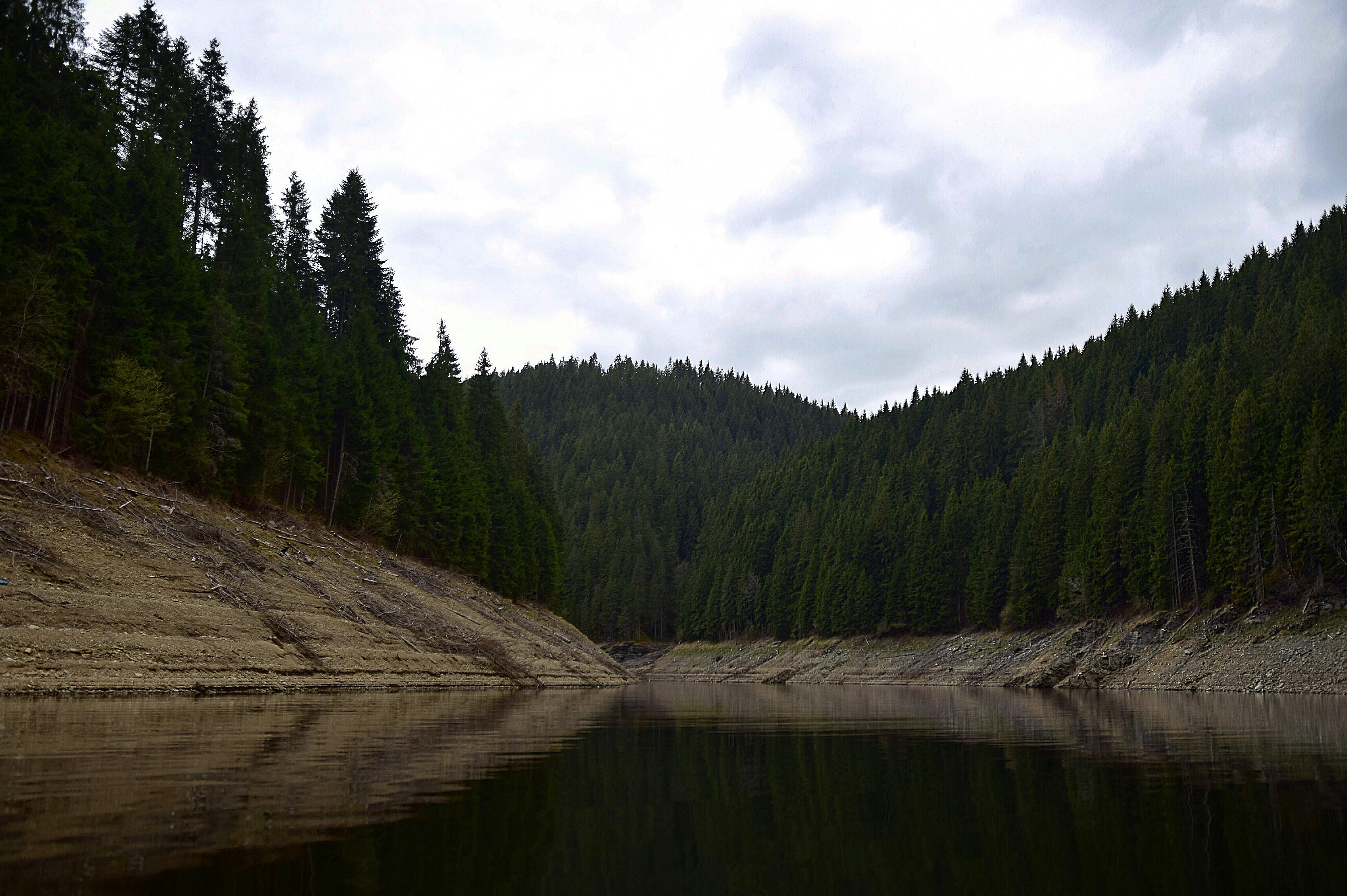 Free Unsplash photo from Mirciov Dan