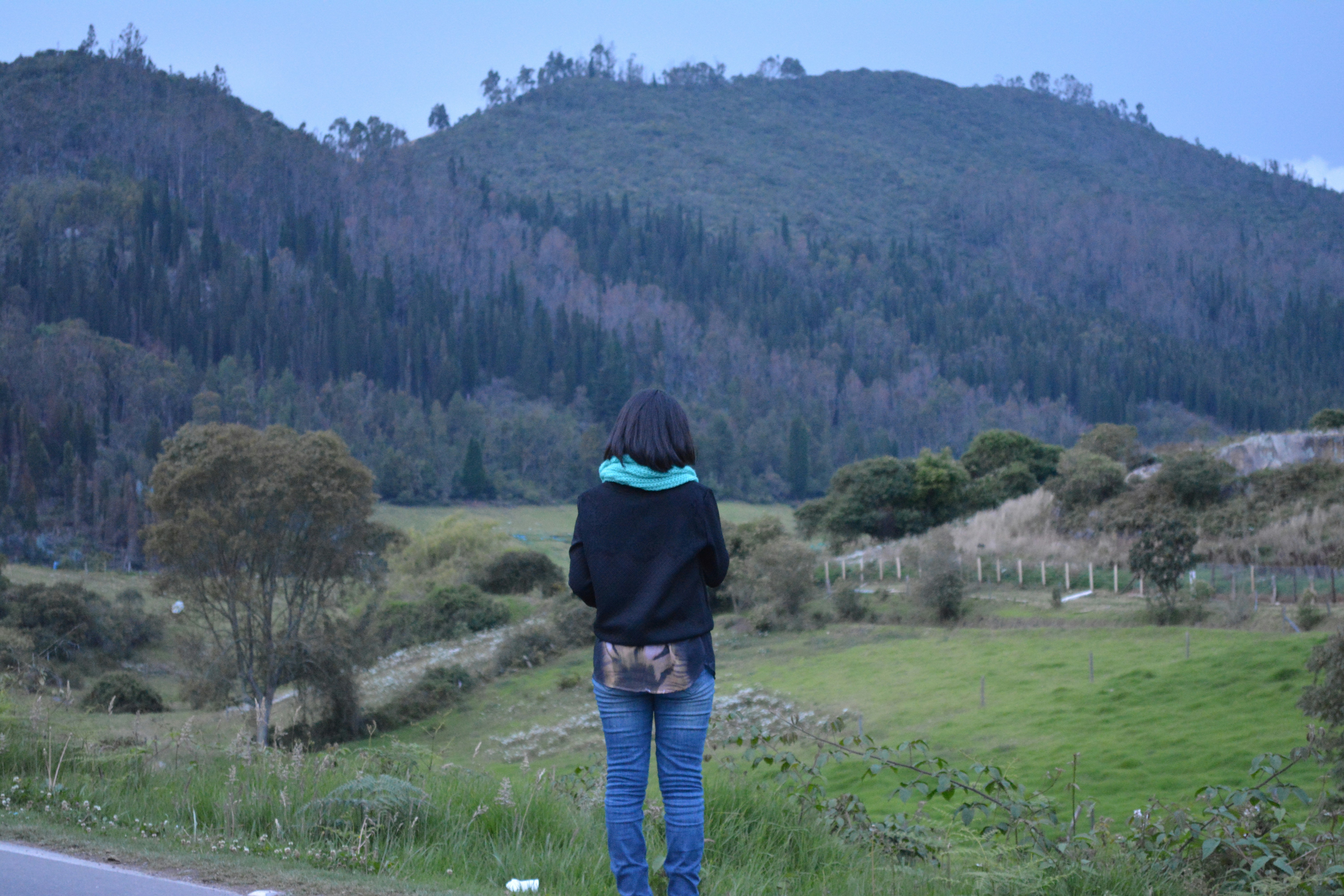 Free Unsplash photo from Daniela Sánchez