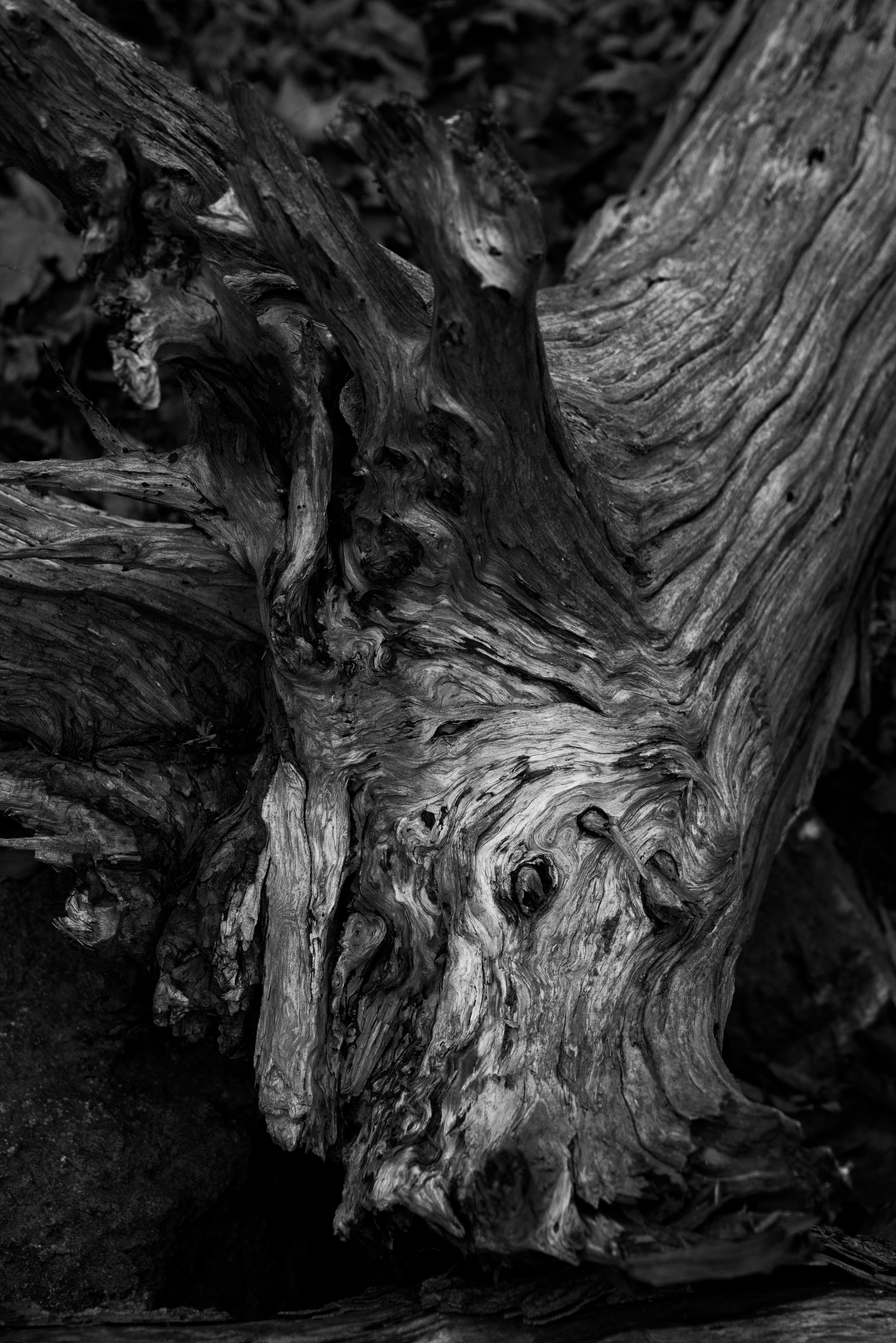 Free Unsplash photo from Alain Pham