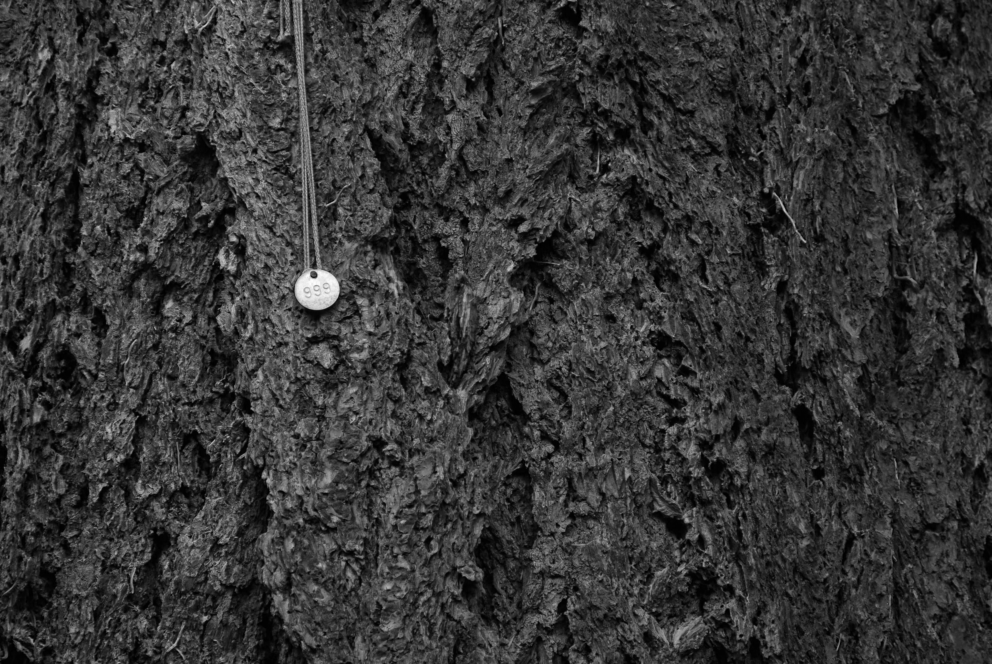 Free Unsplash photo from Alain Pham